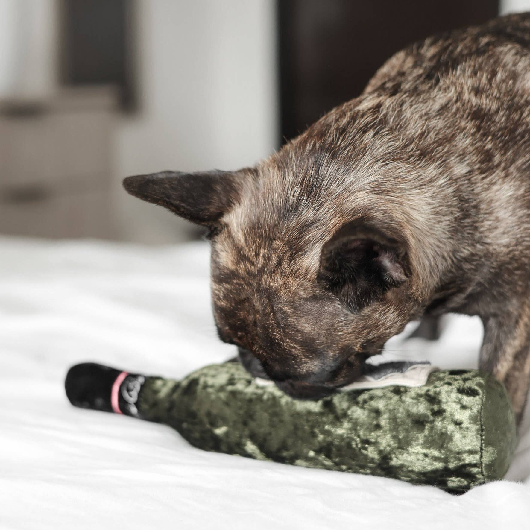 Lambwolf Collective - MERLOT//ENRICHMENT DOG TOY