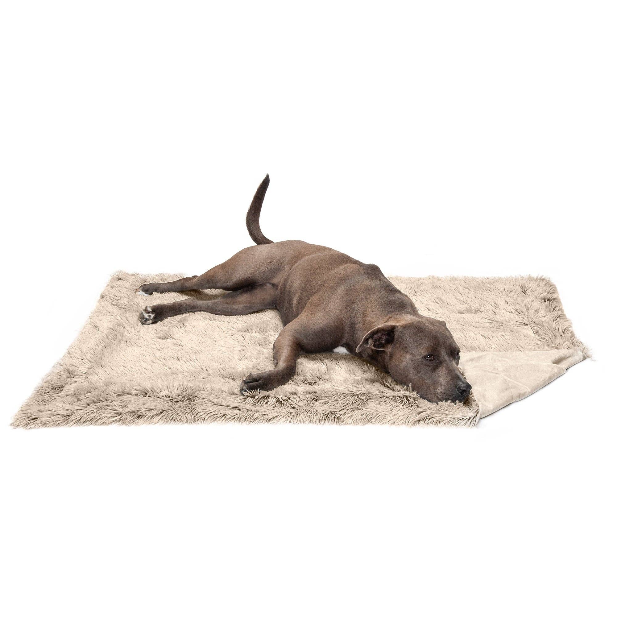 Long Fur & Velvet Pet Throw Blanket: Mist Gray / Extra Large