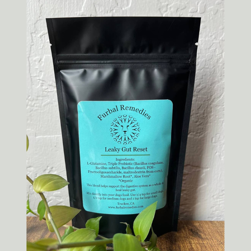 Leaky Gut Reset for Dogs