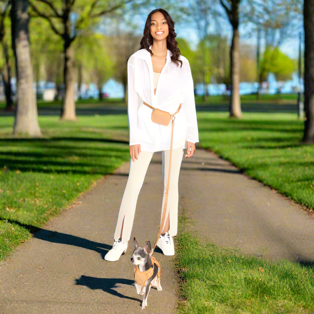 A well-dressed woman in the park with a small dog on a hands-free leash. The leash is attached to a belt around the woman's waist, which also holds a pouch for storing poop bags, phone, wallet, etc.
