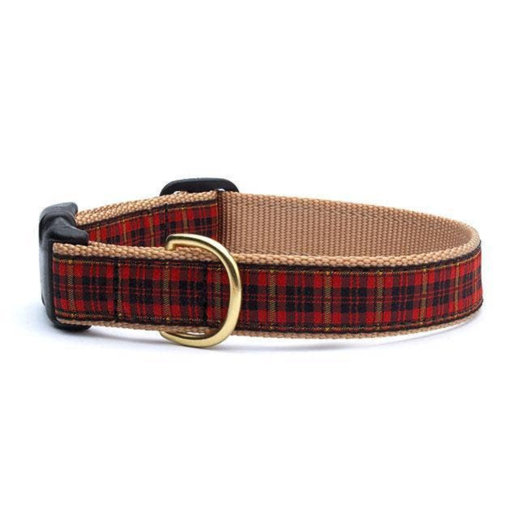 A red plaid dog collar with gold hardware.