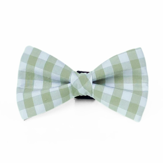 Green and white checkered bow tie on a white background