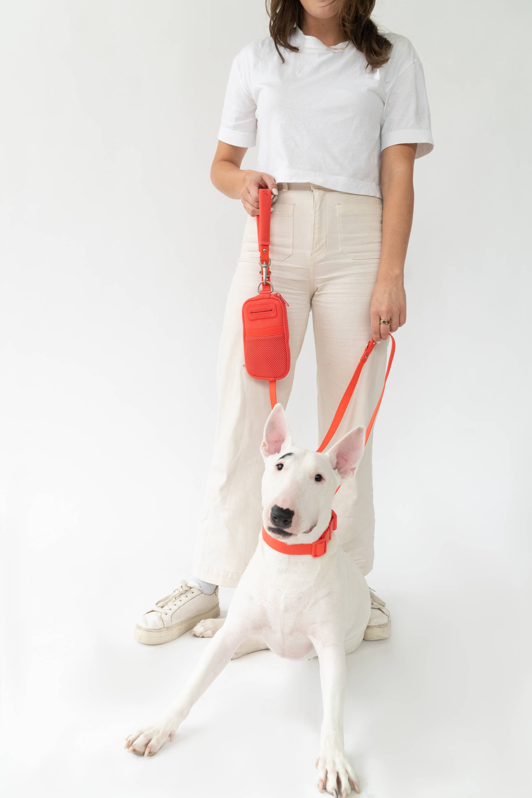 Springer - Walk Bag With Dog Leash | Dog Walking