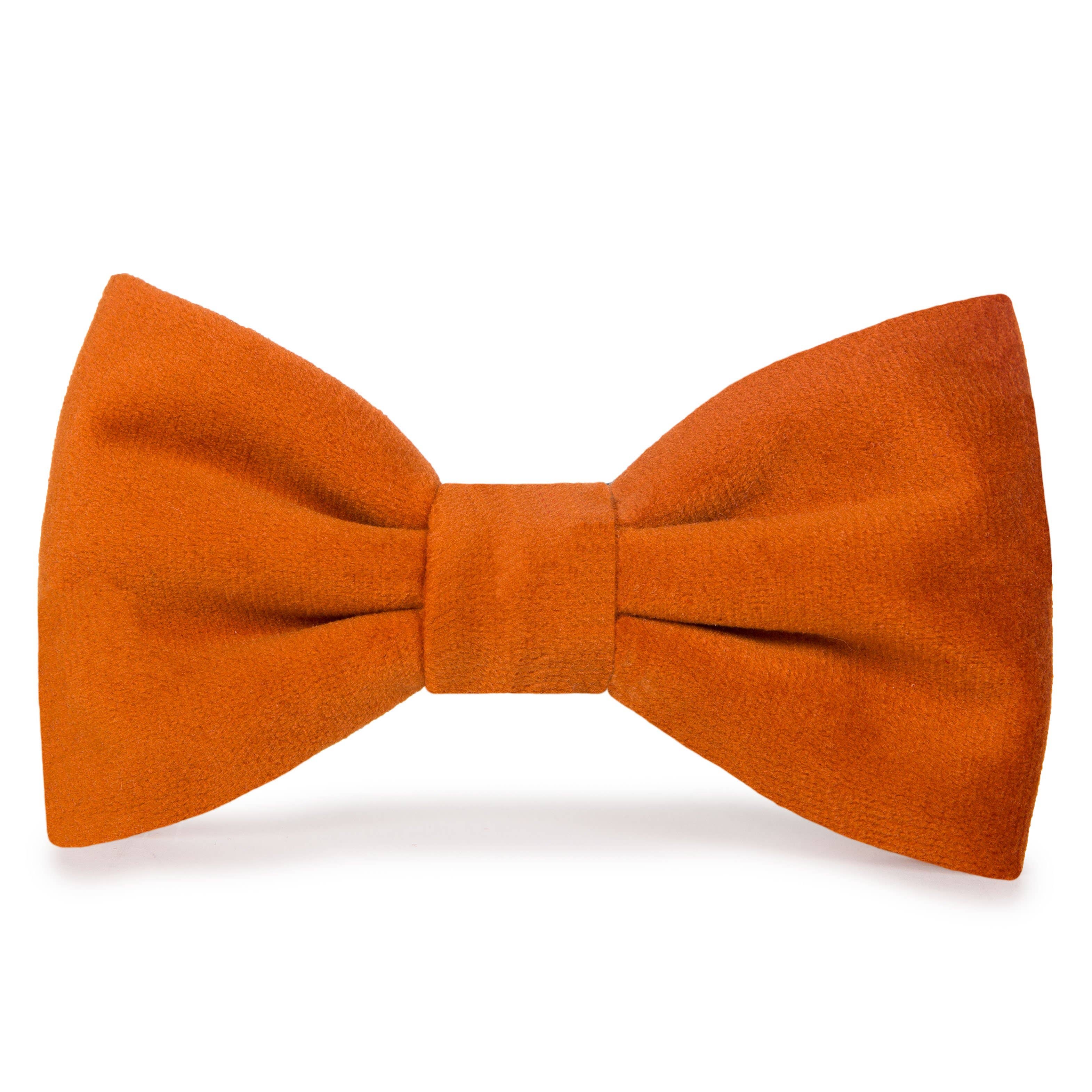 The Foggy Dog - Pumpkin Velvet Dog Bow Tie
