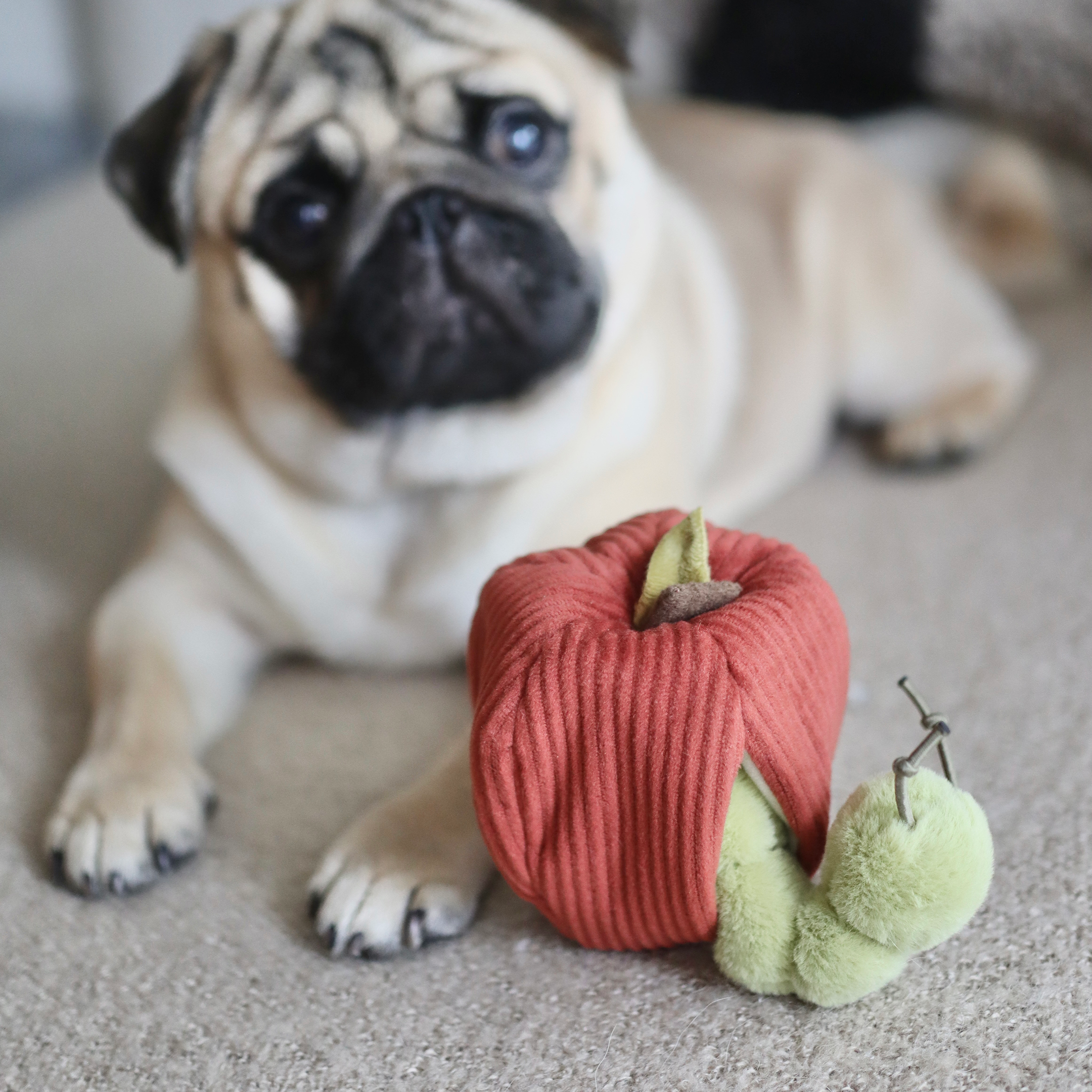 Lambwolf Collective - APPLE/ ENRICHMENT TOY SET// SNUFFLE TOY