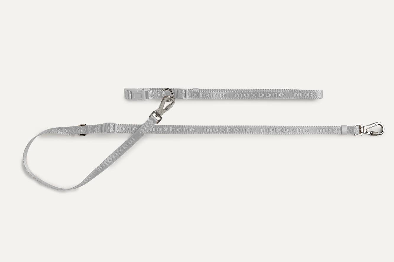 Mini Go with Ease Hands Free Dog Leash: Light Grey