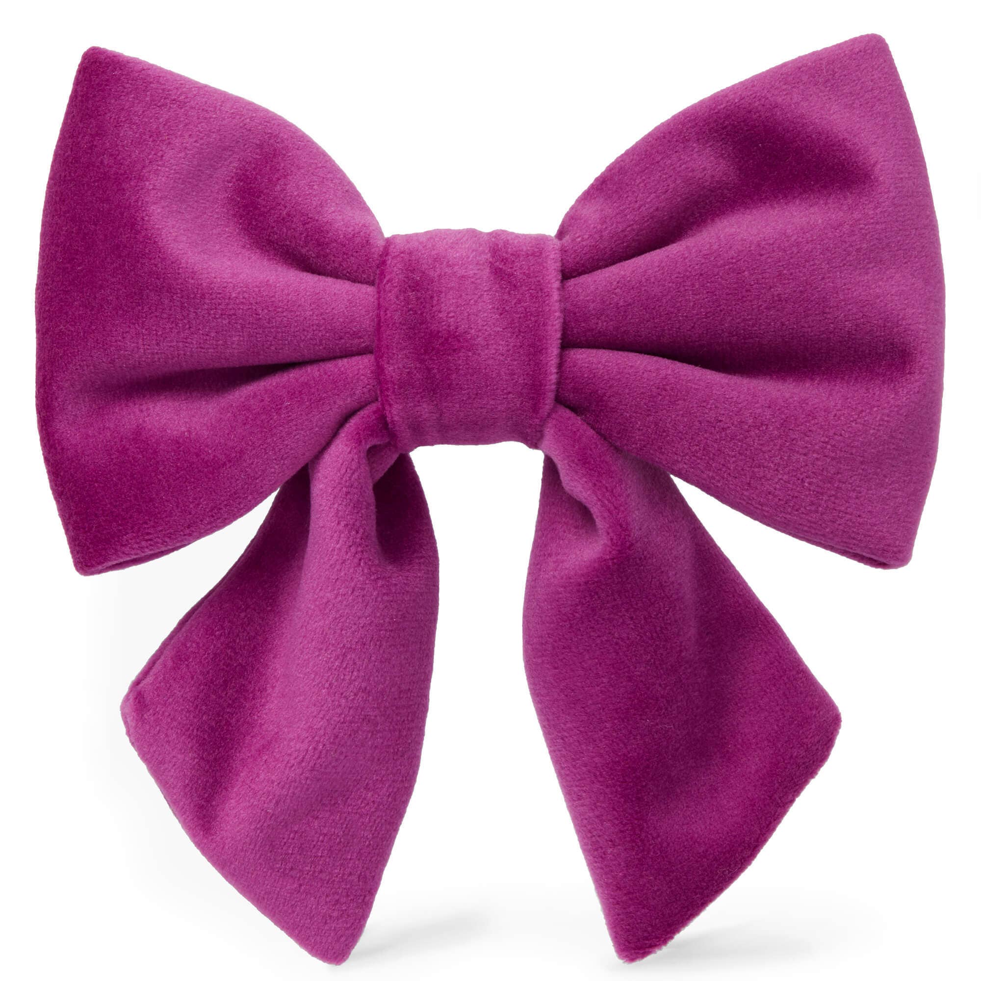 The Foggy Dog - Plum Velvet Lady Dog Bow