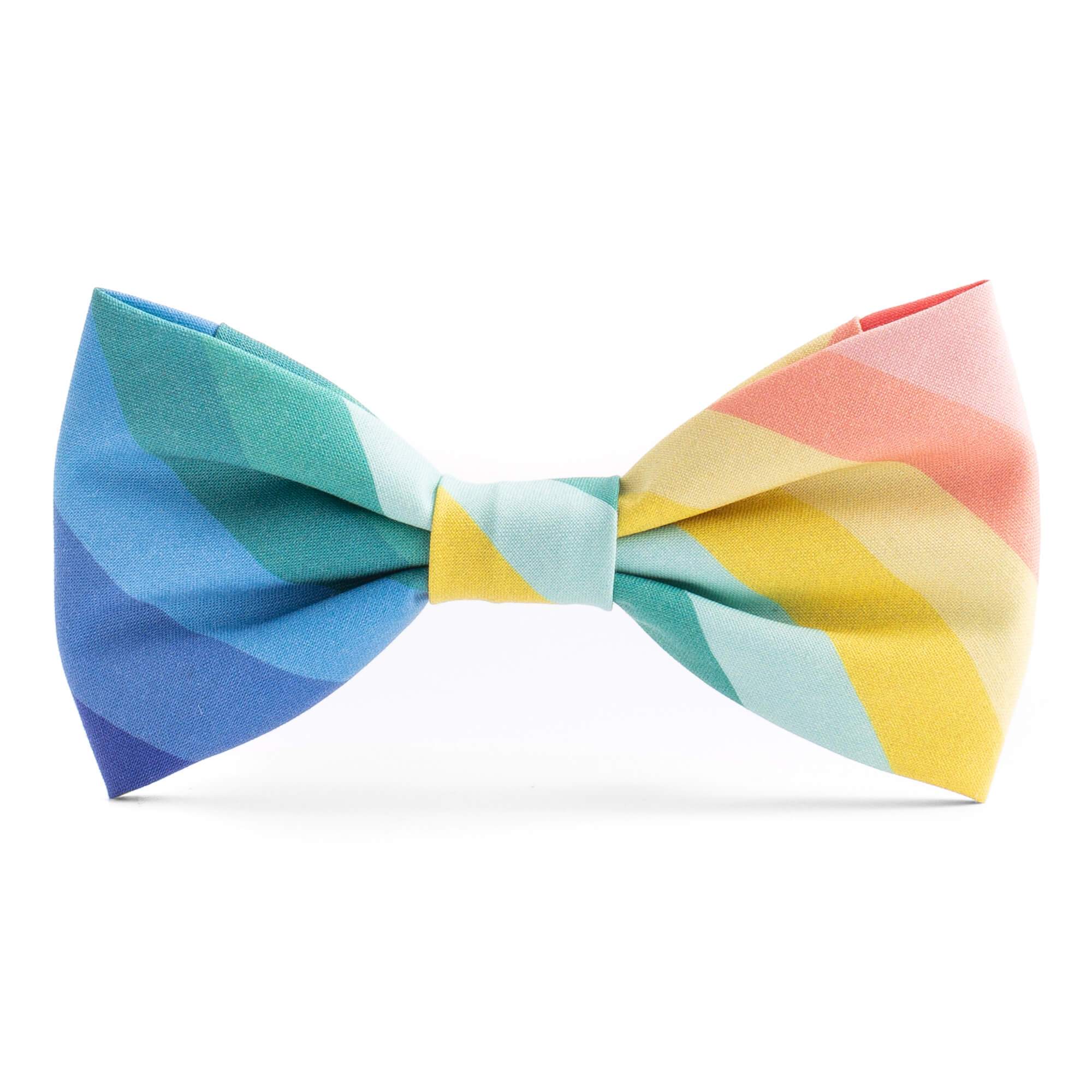 The Foggy Dog - Over the Rainbow Dog Bow Tie