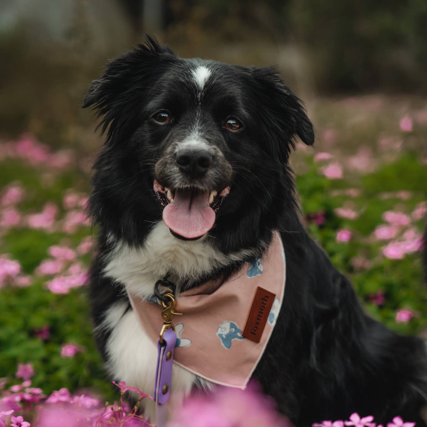 A dog wearing a pink bandana with a frenchies.