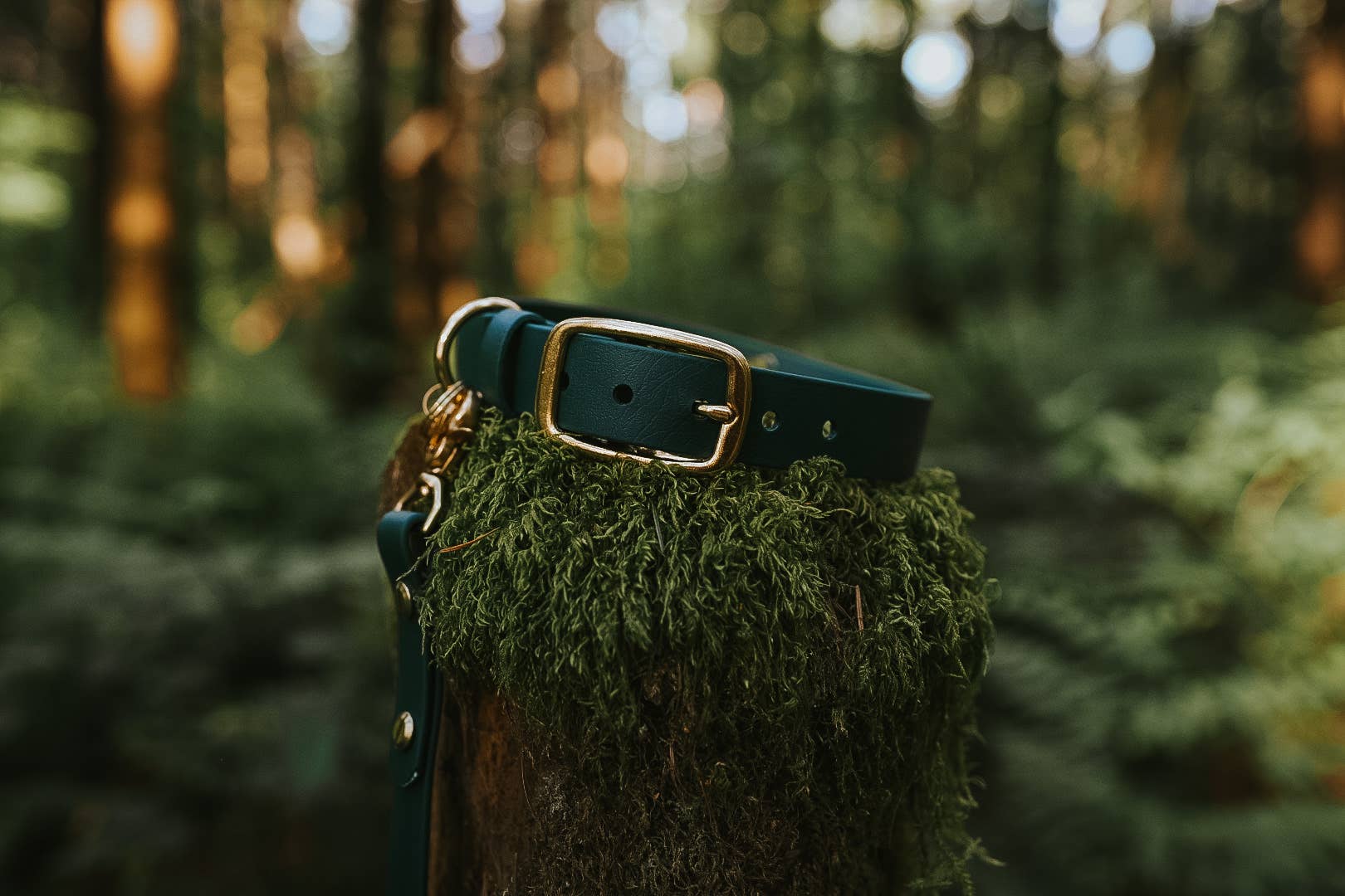 FoxMoth - Biothane Dog Collar Modern Navy