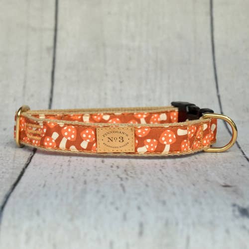 Finnegan’s Standard Goods - 1 inch Creamsicle Mushroom Collar