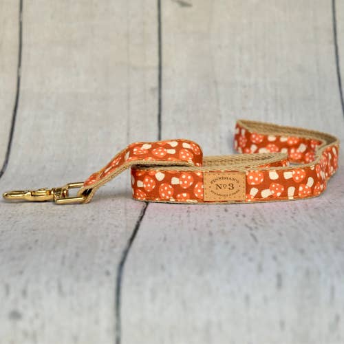 Finnegan’s Standard Goods - 1"Creamsicle Mushroom Lead