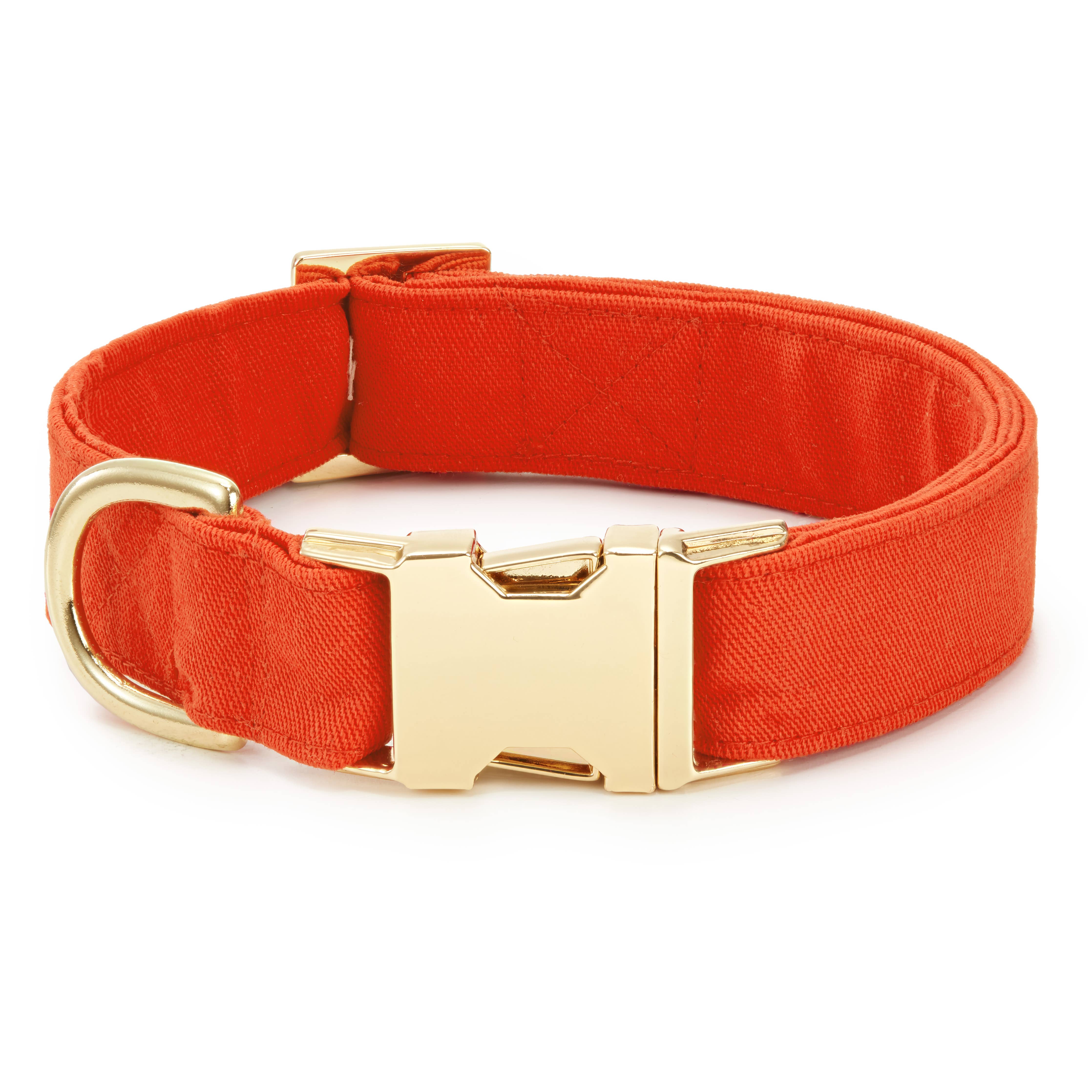 The Foggy Dog - Cider Dog Collar