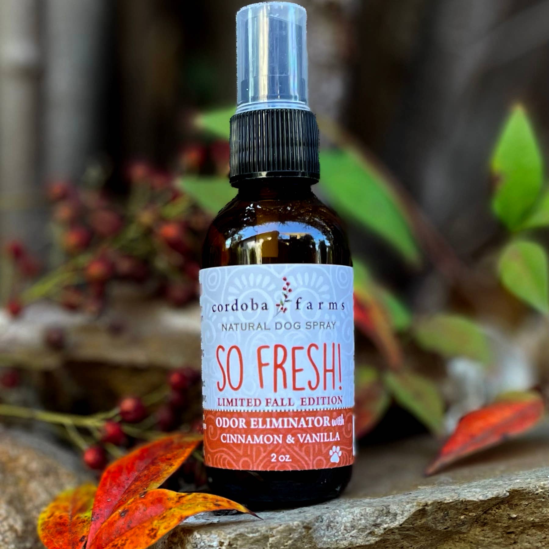 So Fresh! Fall Edition