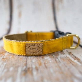 Yellow waxed cotton dog collar with gold hardware and a No. 3 leather label.