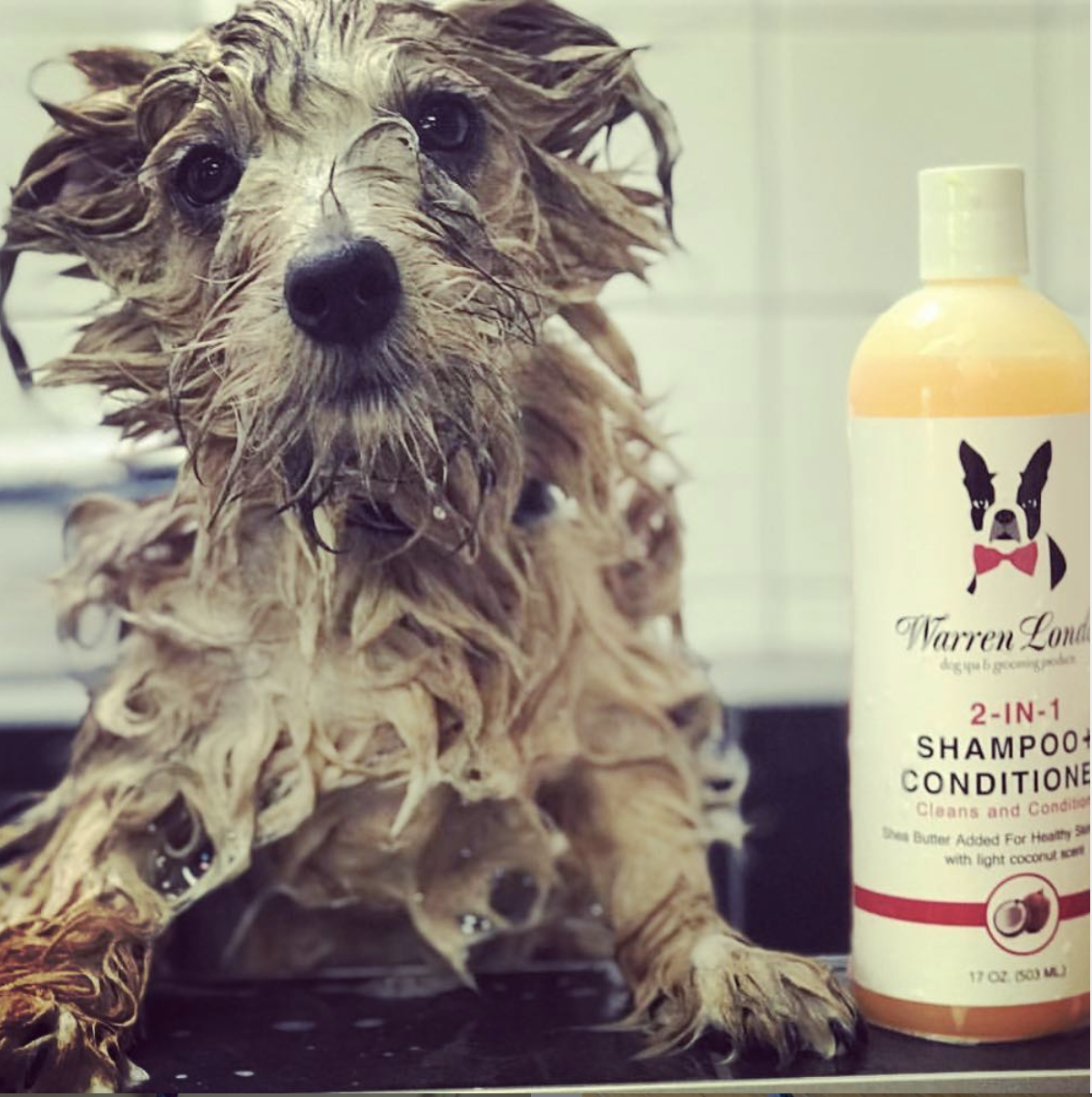 Warren London Dog Products - Shampoo: 2in1 plus Conditioner - 2 Sizes