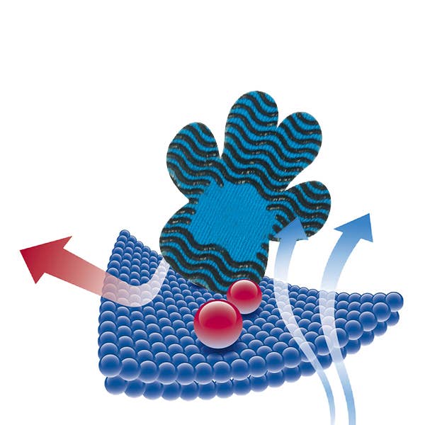 BRIGHT IRIS - Silicone Dog Paw Protector