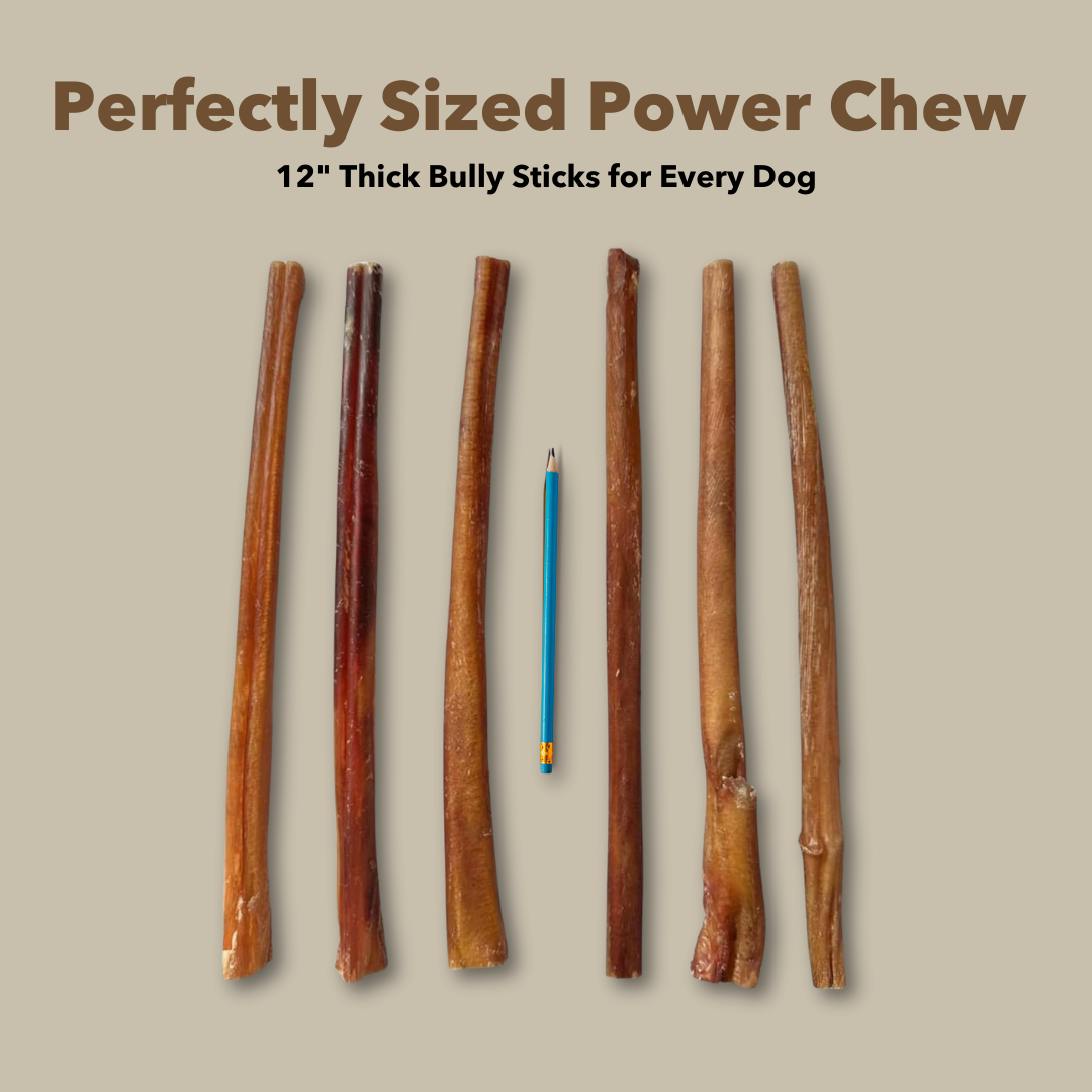 Mighty Chewz - 12" Thick Bulk Bully Sticks