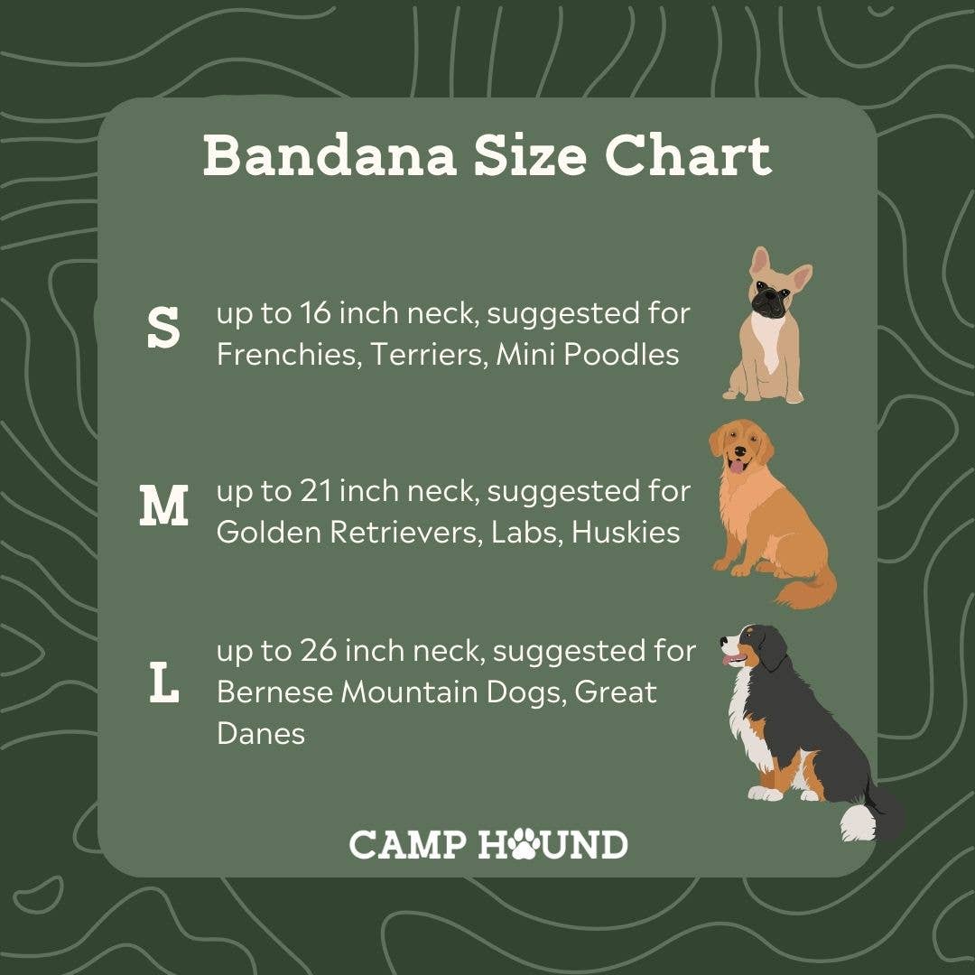 Camp Hound - Tomato Dog Bandana | Retro Checkerboard Minimalist Pet Scarf