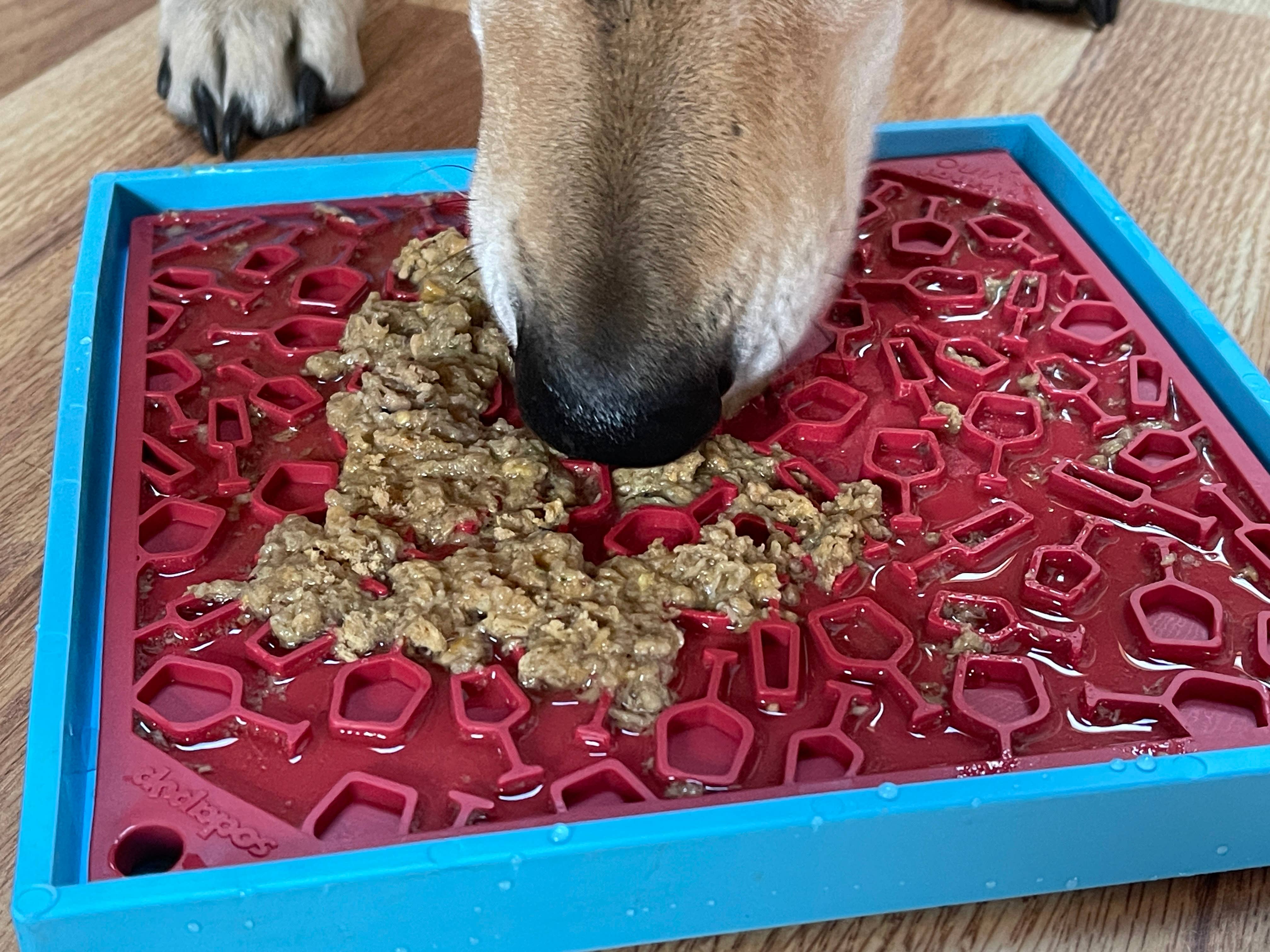 SodaPup Dog Toys - Vino Design eMat Enrichment Lick Mat