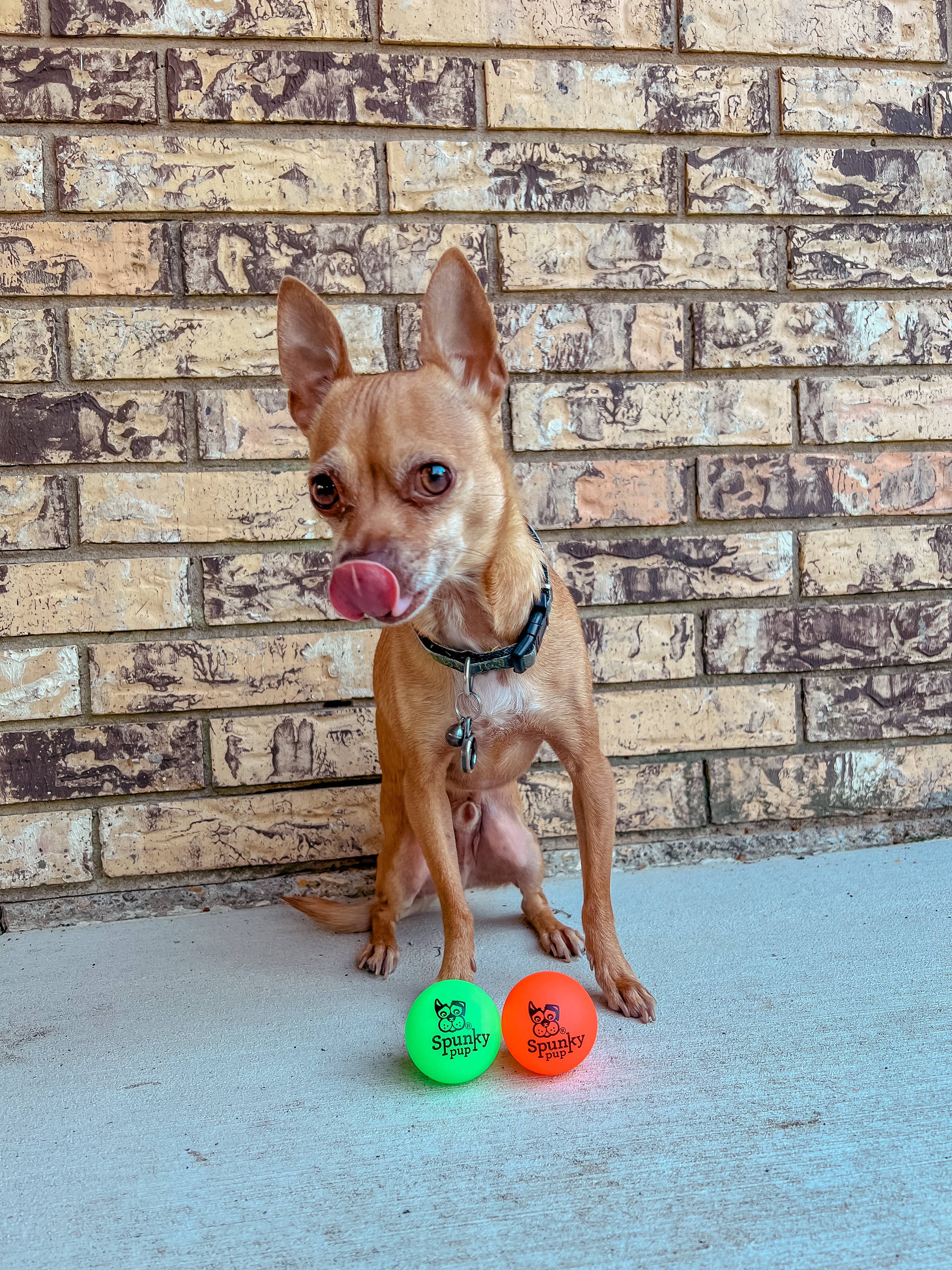 Spunky Pup - Fetch and Glow Ball