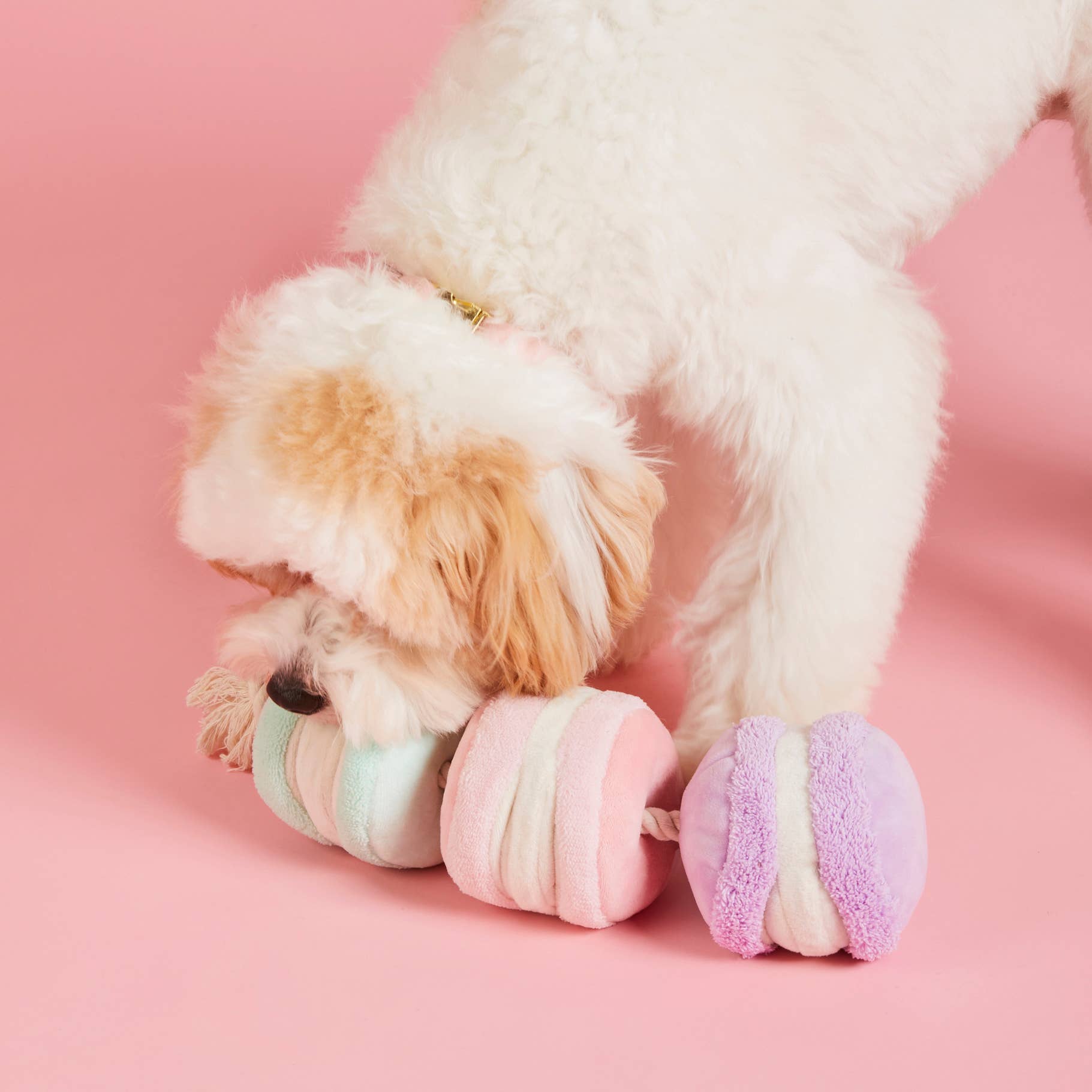 The Foggy Dog - Macarons Interactive Snuffle Valentine's Day Dog Toy