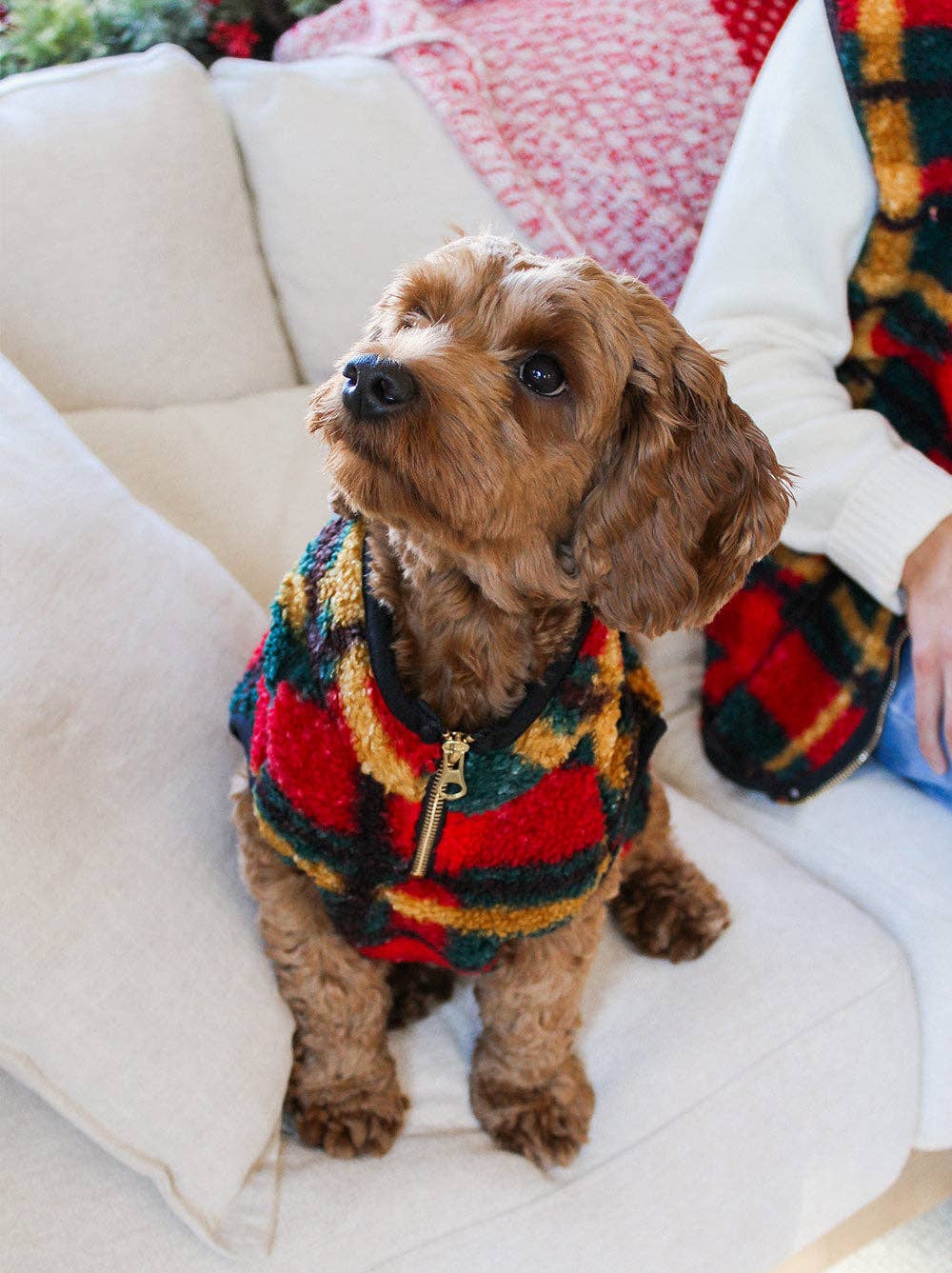 Good Thomas - Alpine Sherpa Vest