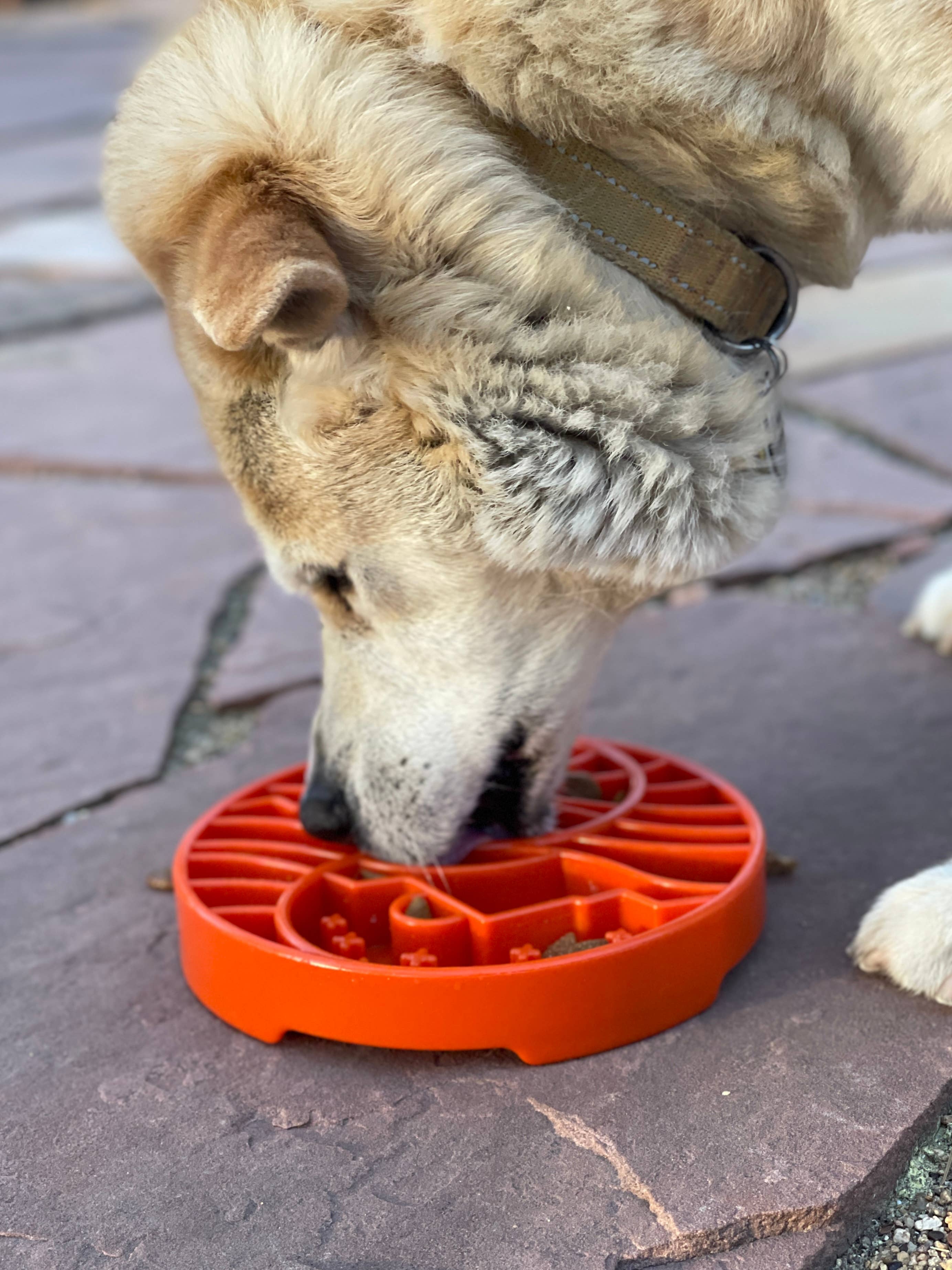 SodaPup - Yin Yang Design Shallow eTray Enrichment Slow Feeder Tray for Dogs