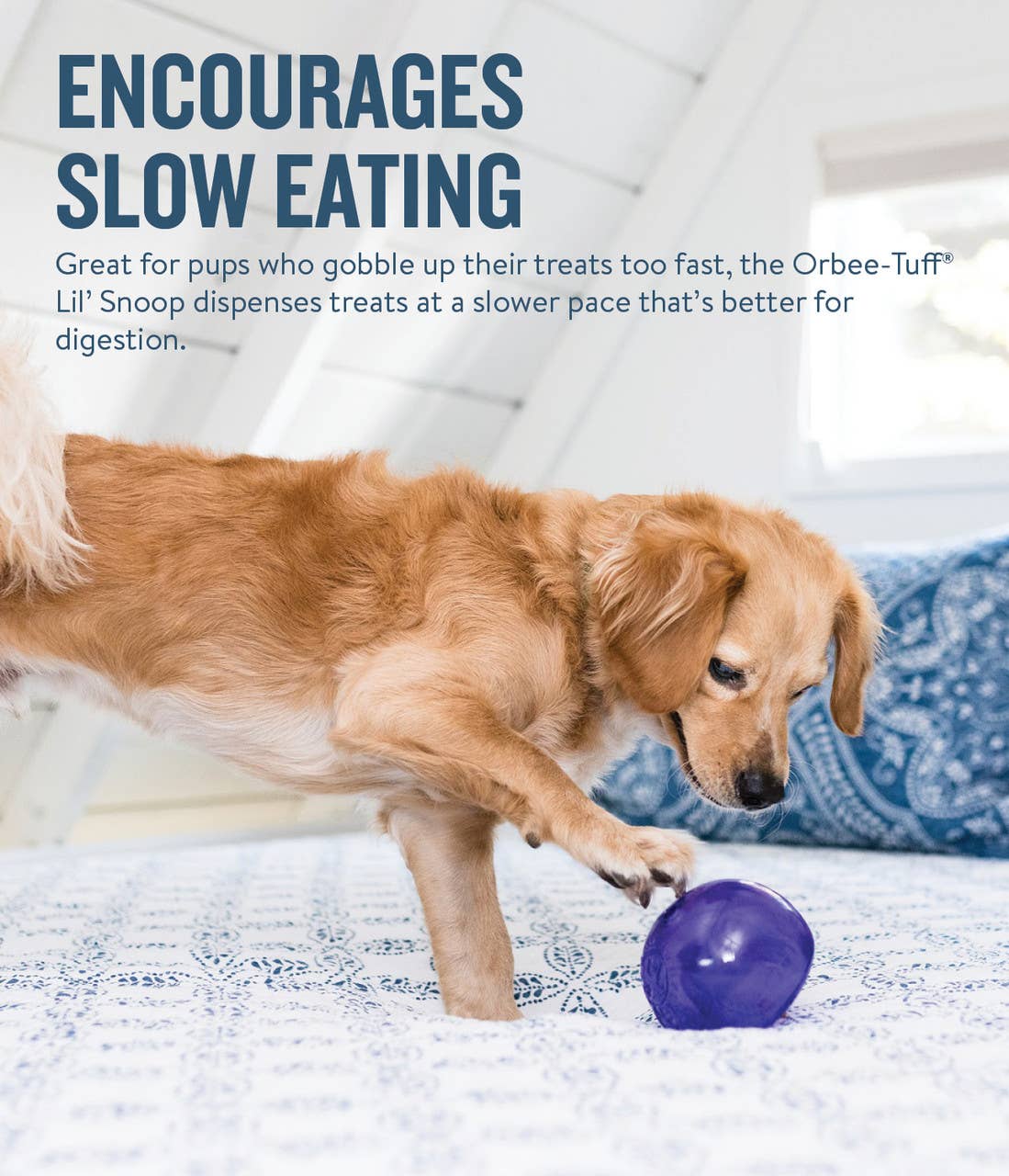 Pet Palette Distribution - Planet Dog Orbee-Tuff Lil Snoop Treat-Dispensing Toy Purple