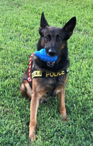 SodaPup Dog Toys - USA-K9 Grenade - Chew Toy - Reward Toy - Blue