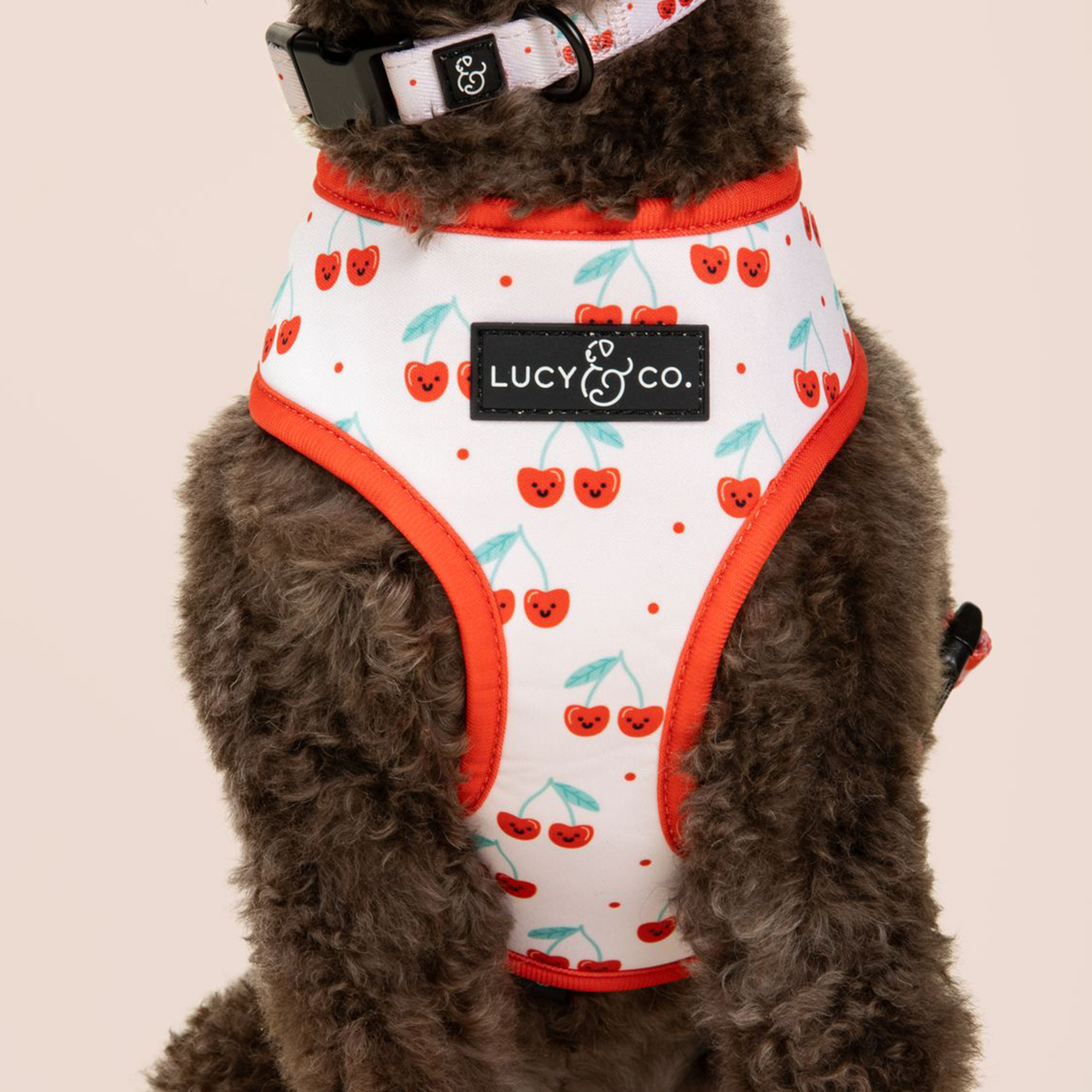 Lucy & Co. - The Cheery Cherries Reversible Harness