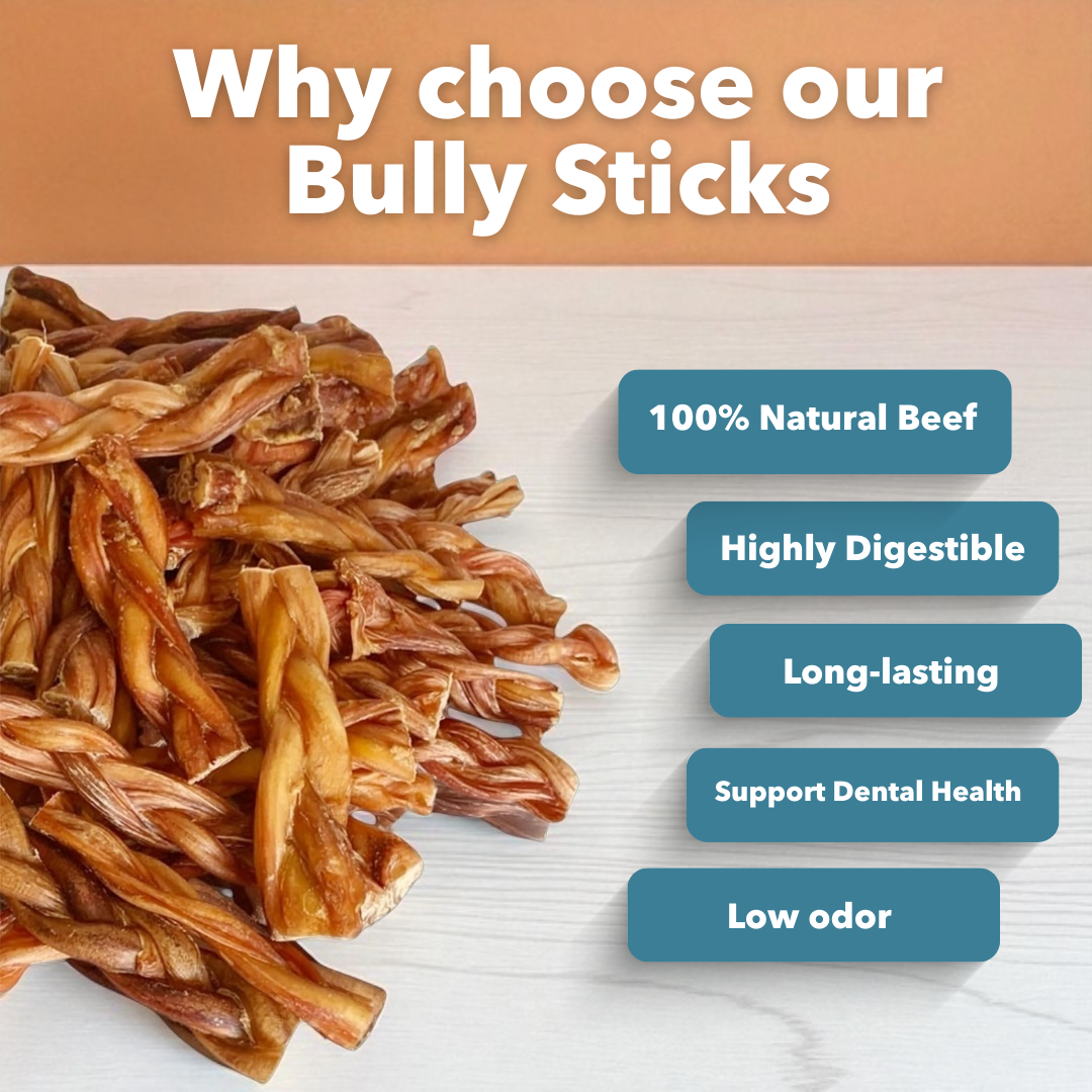 Mighty Chewz - 6" Thick Braided Bully Sticks