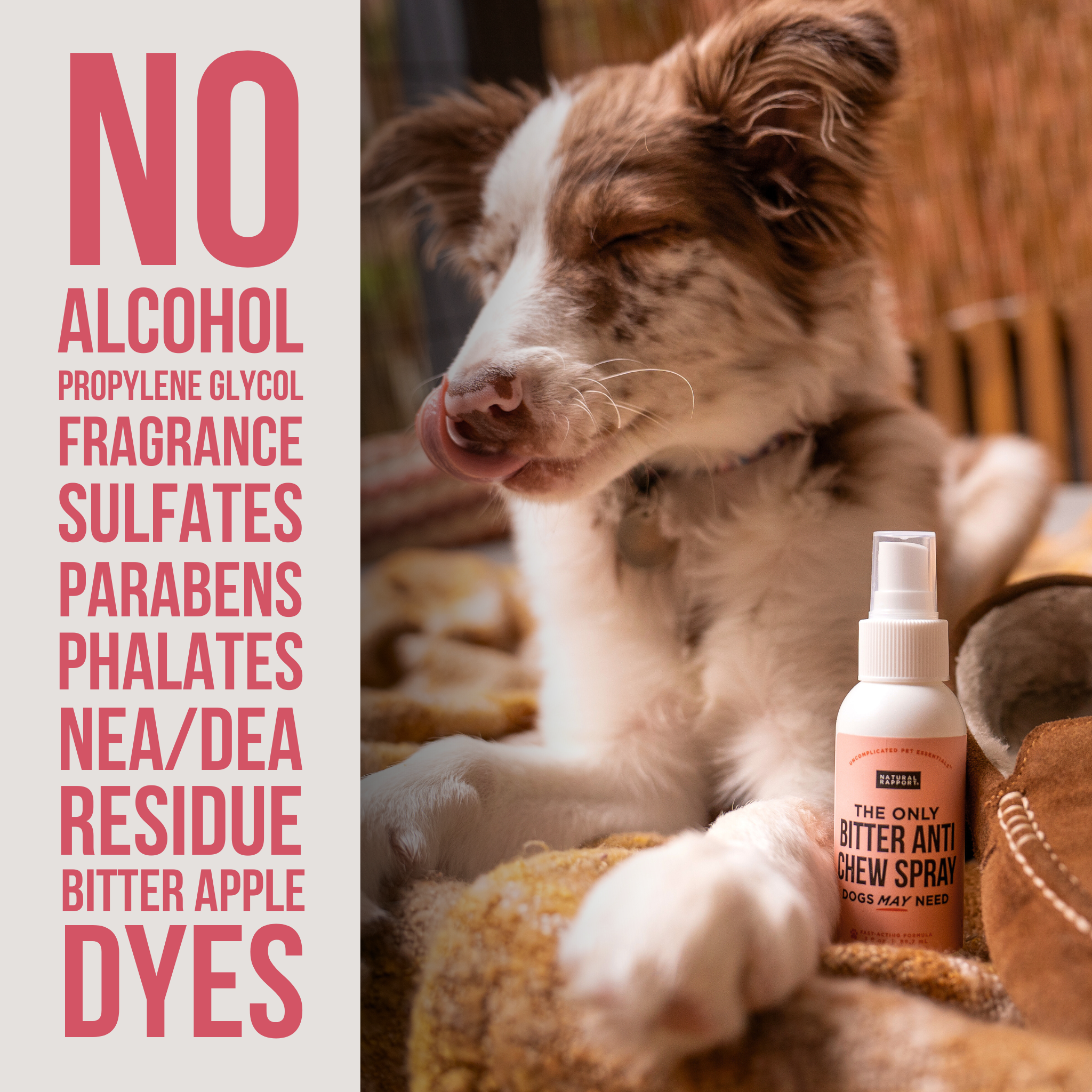 Natural Rapport - The Only Bitter Anti Chew Spray Dogs May Need