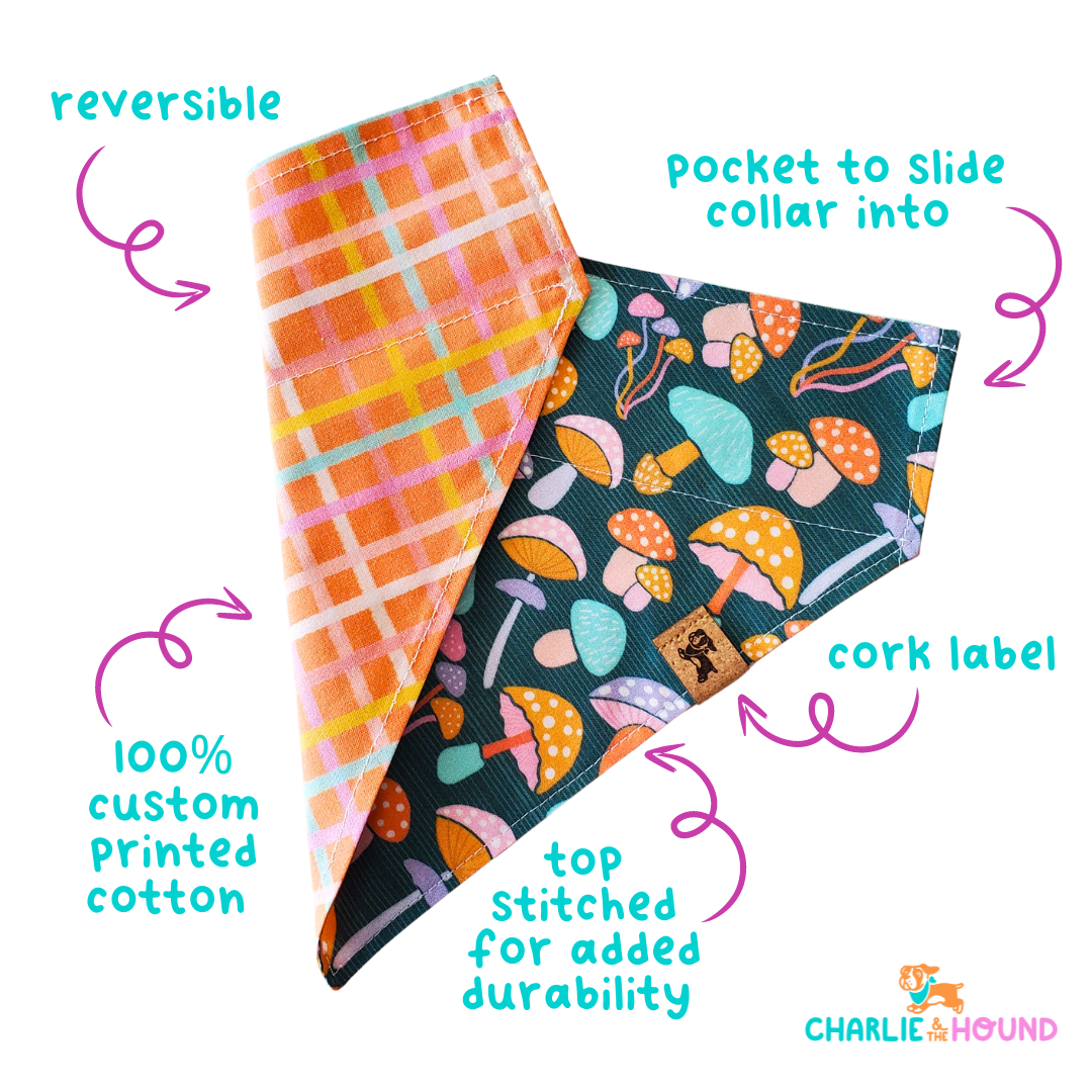 Charlie & the Hound - Cozy Fall - Reversible Dog Collar Bandana