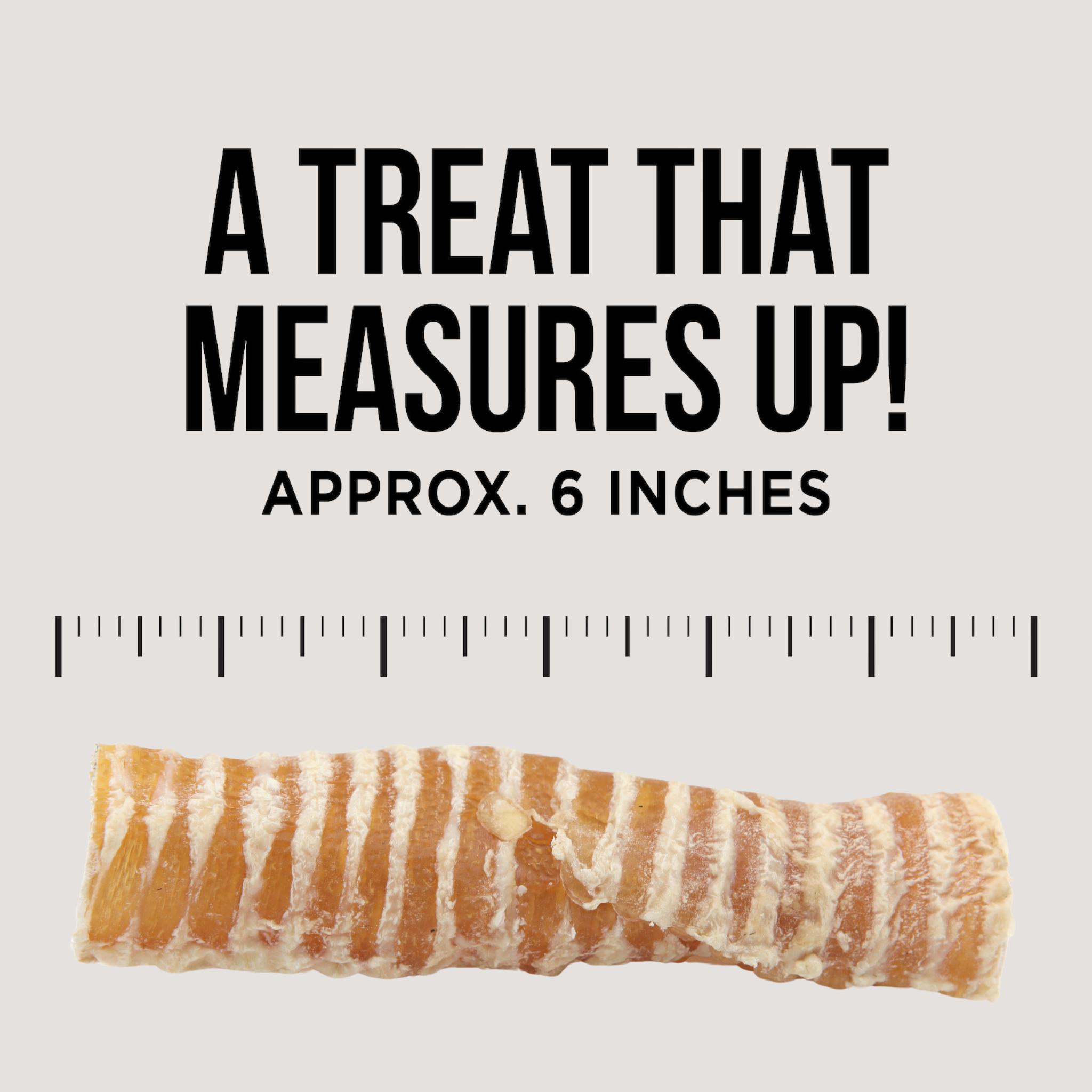 6” Beef Trachea