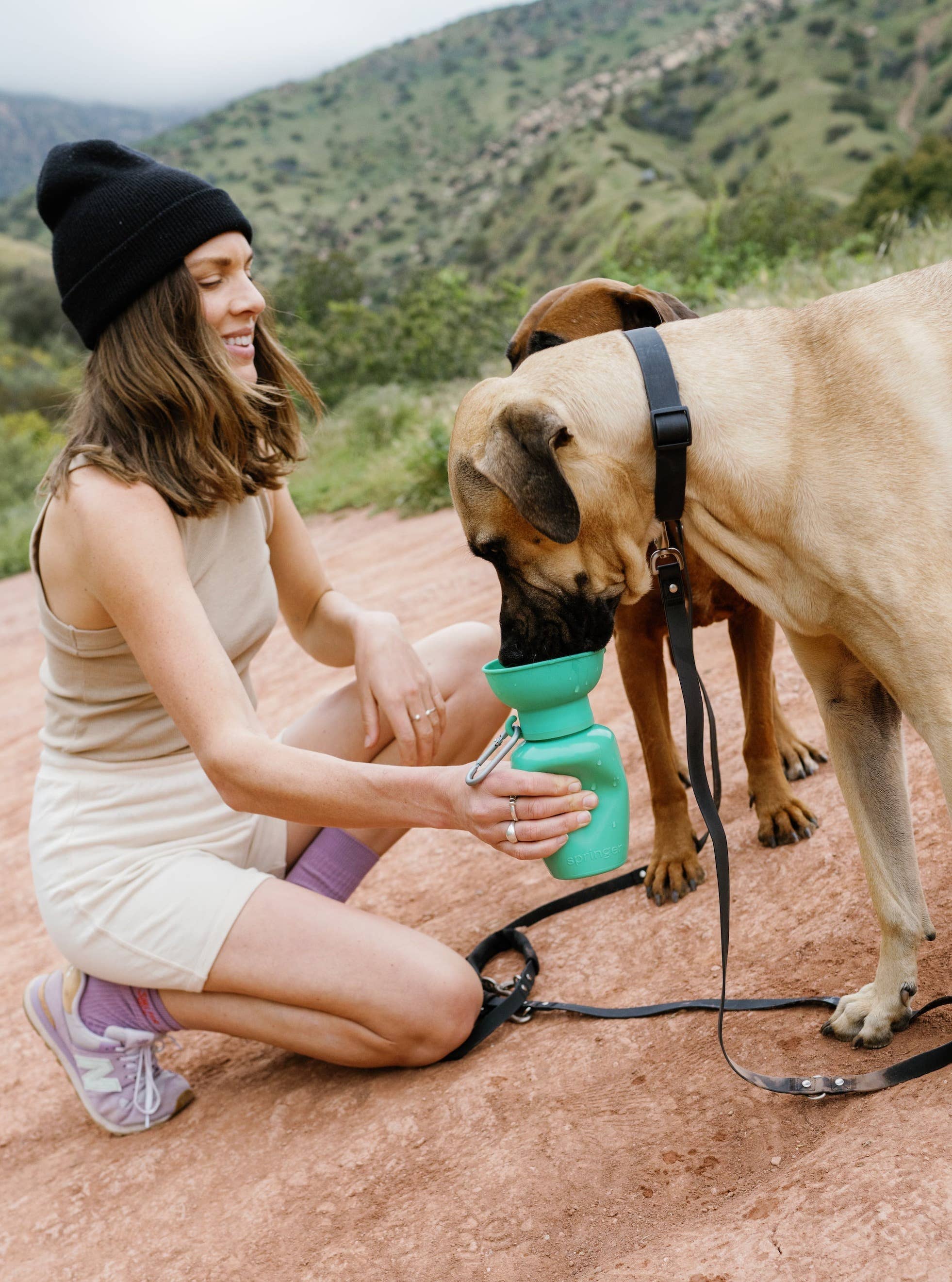 Springer - Dog Travel Water Bottle | Flip 20 oz |