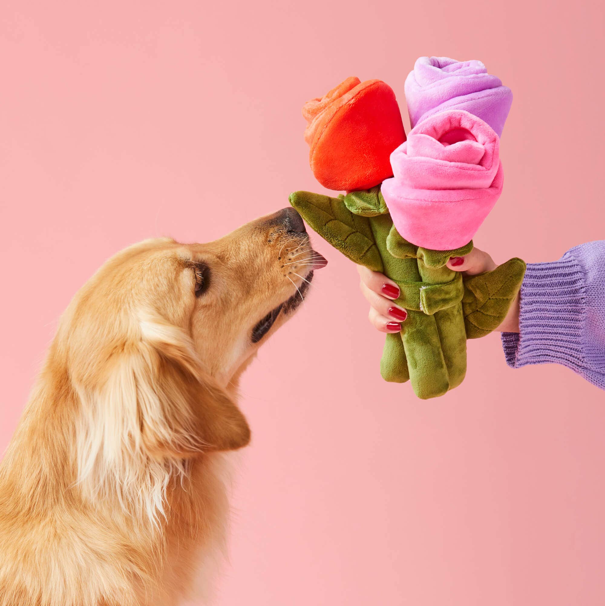 The Foggy Dog - Bouquet of Roses Valentine's Day Interactive Snuffle Dog Toy