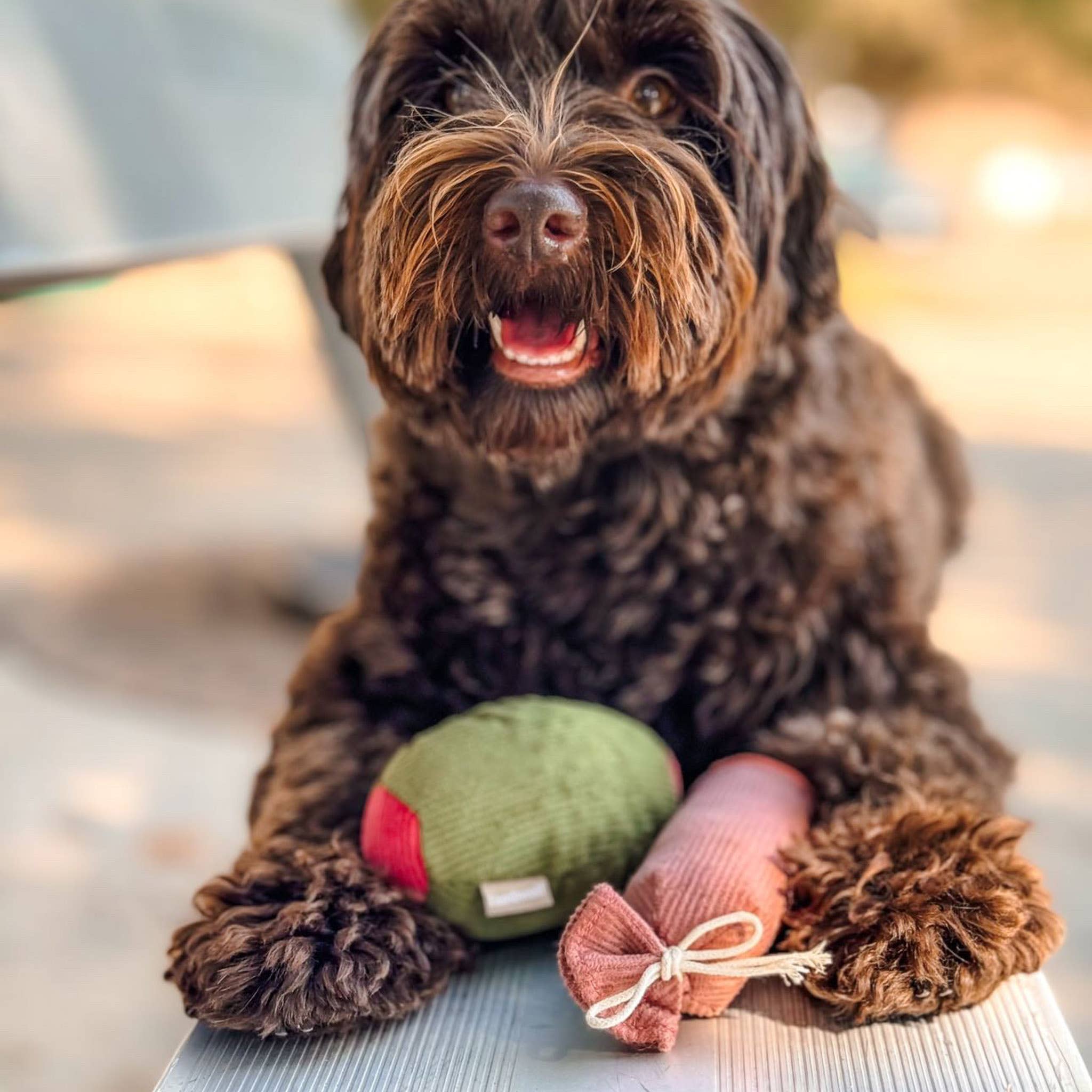 Lambwolf Collective - Olive + SALAMI//ENRICHMENT DOG TOY