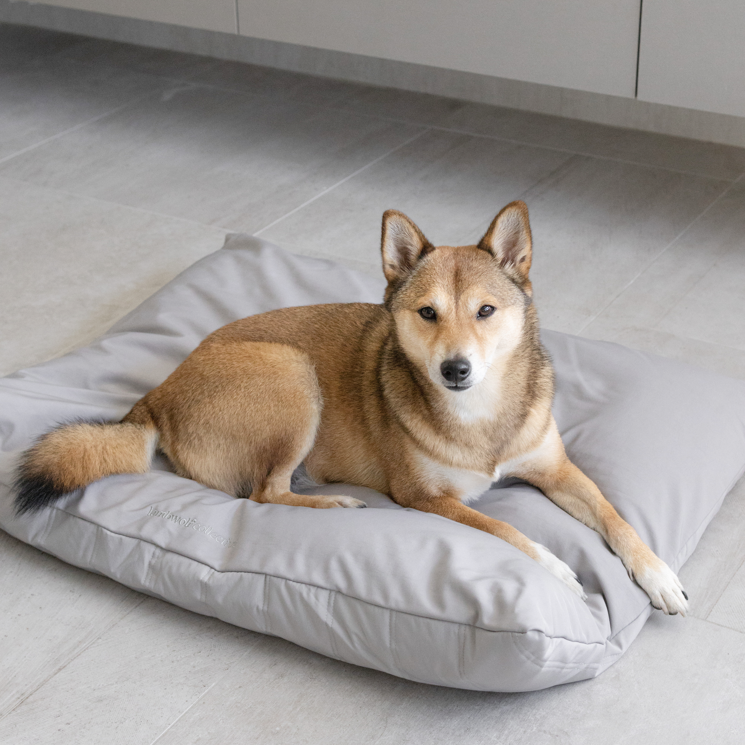 MAATIN | PET BED//DOG BED: Small / Fern