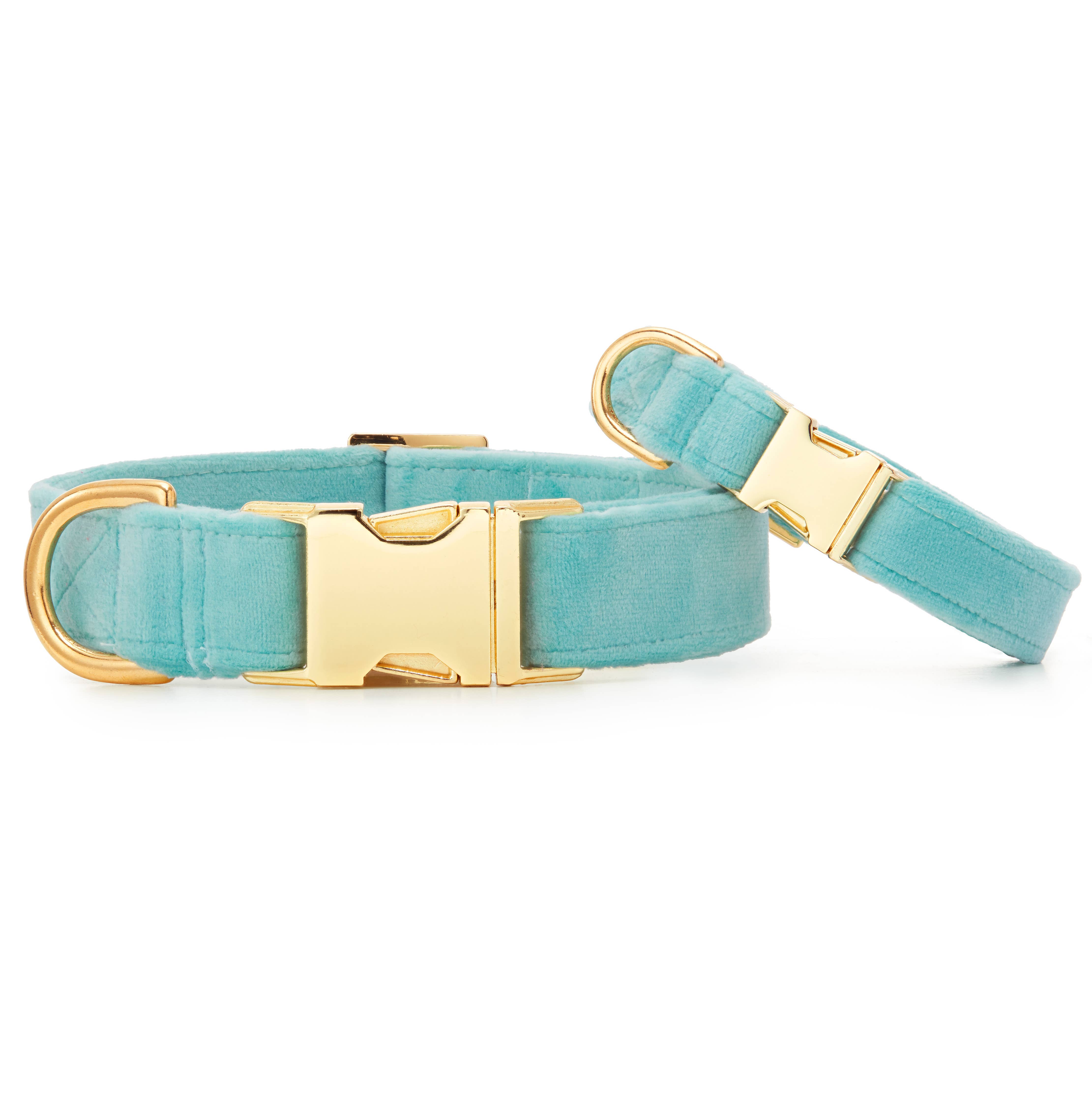 The Foggy Dog - Robin's Egg Blue Velvet Dog Collar