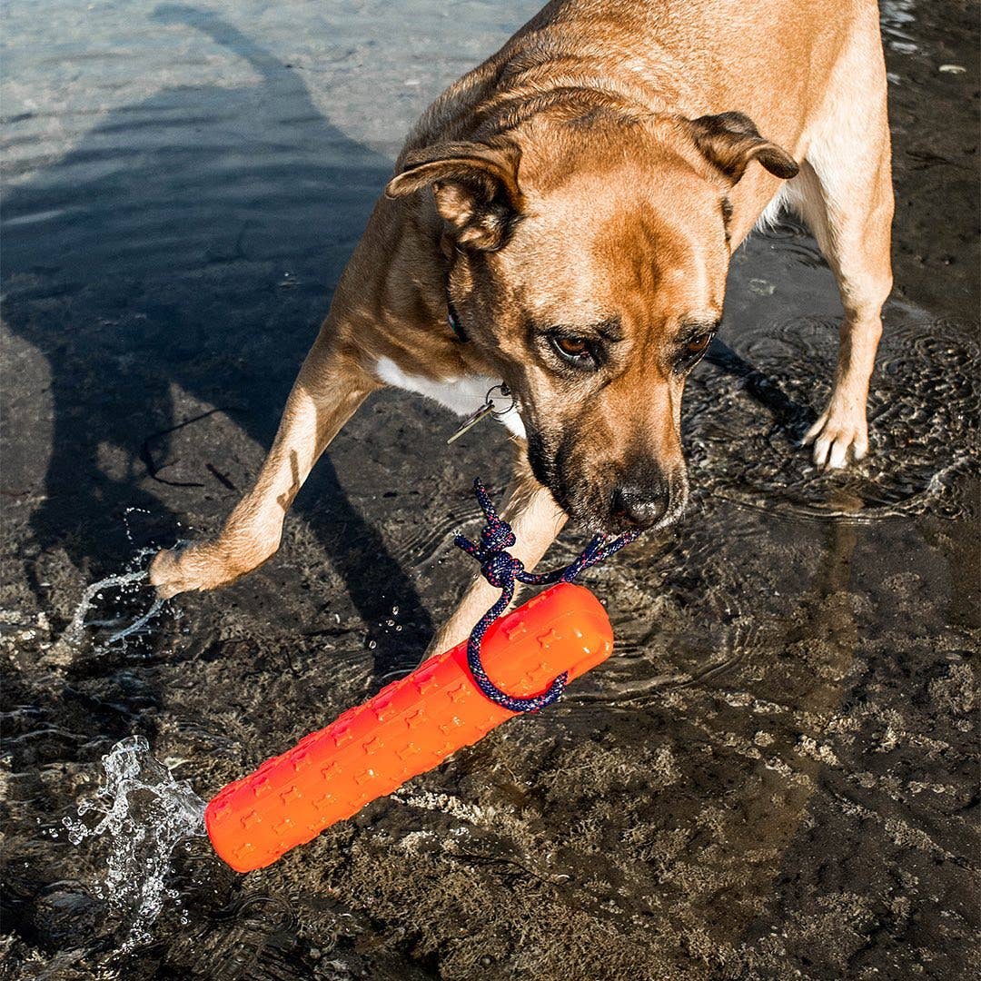 Katie's Bumpers - Best KB Original Bumper Dog Fetch Toy