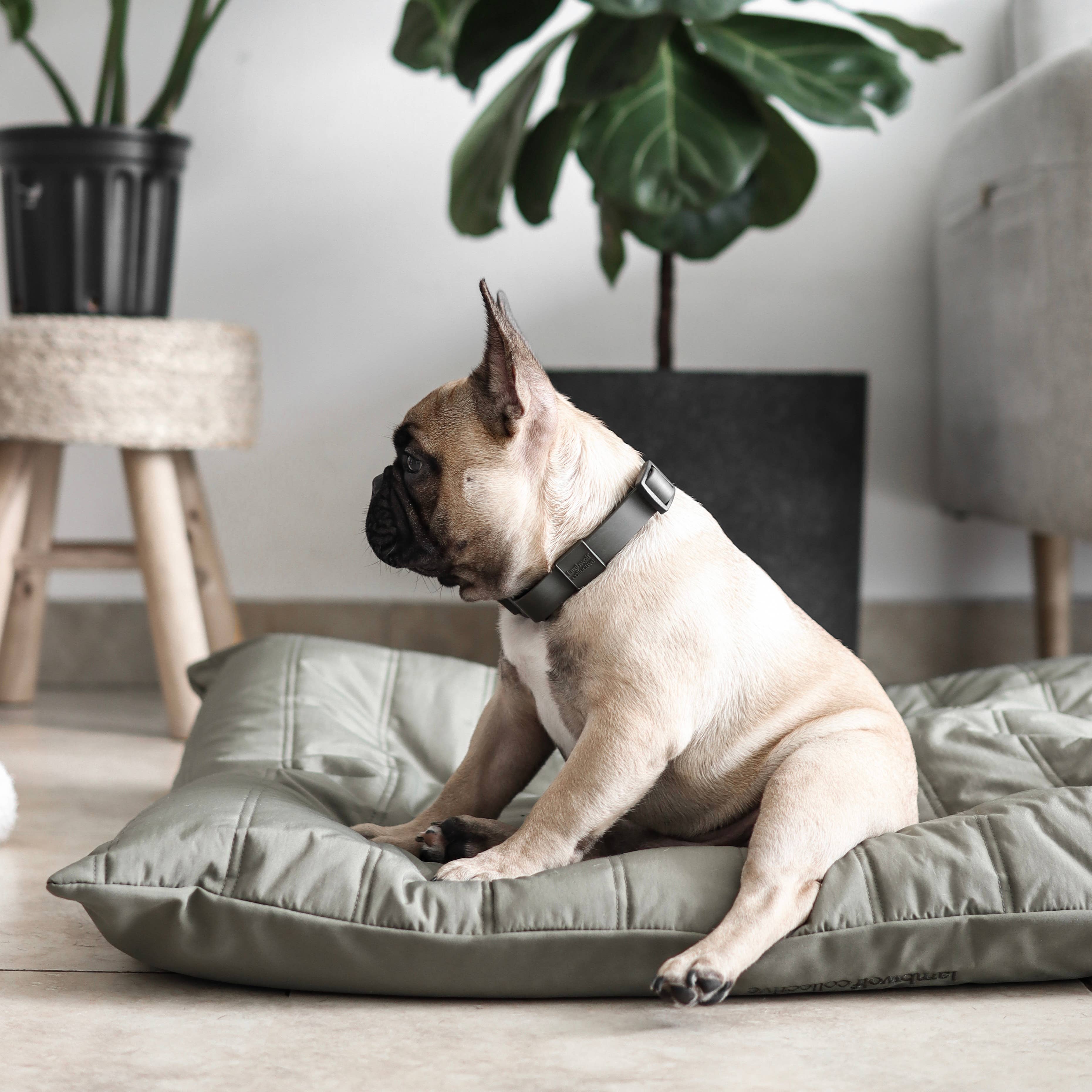 MAATIN | PET BED//DOG BED: Small / Fern