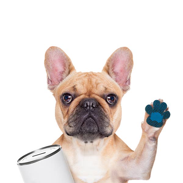 BRIGHT IRIS - Silicone Dog Paw Protector