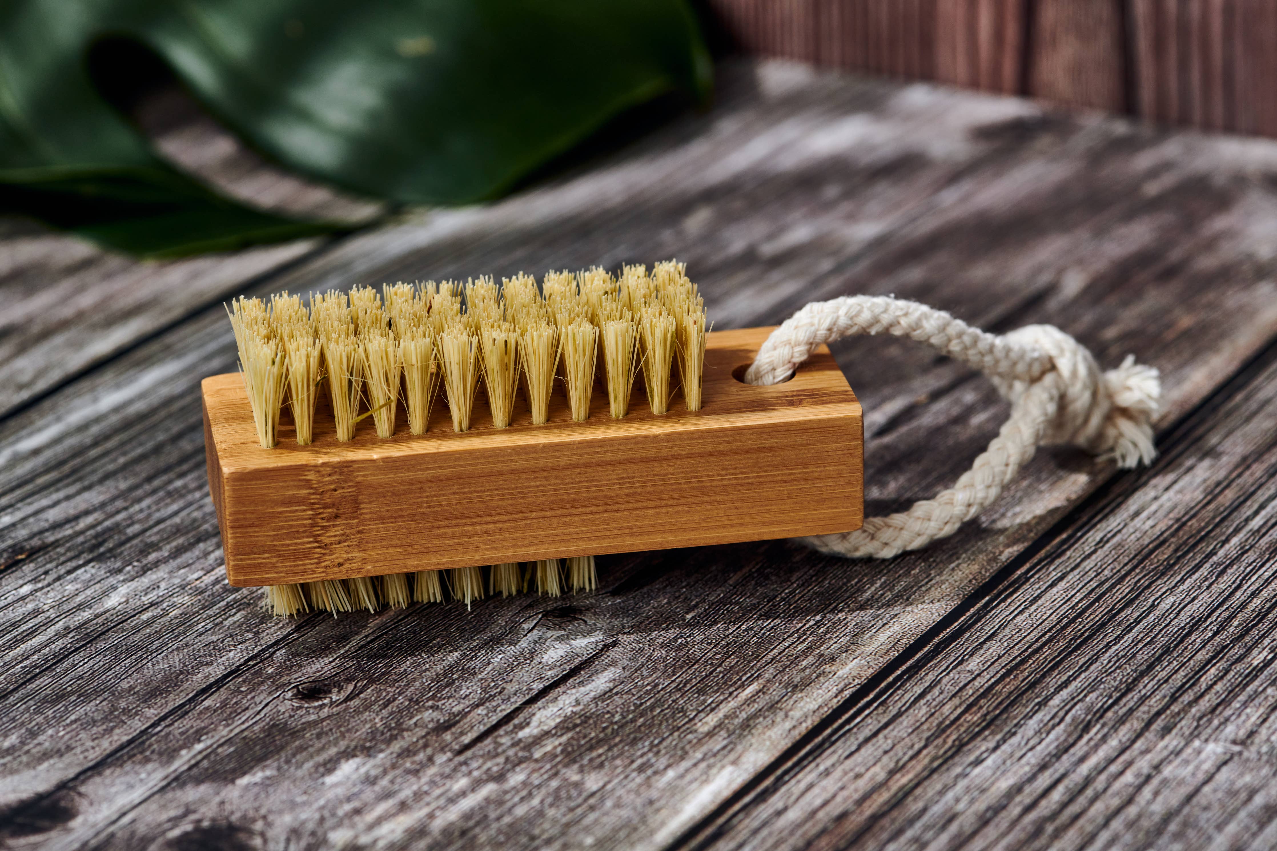 Desesh - Wood Nail Brush (Plastic Free, Vegan, Unbranded, Unpackaged)