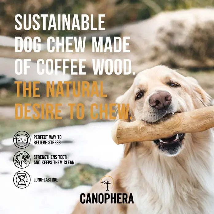 CANOPHERA LLC - Dog Chew Stick Made of Coffee Wood.