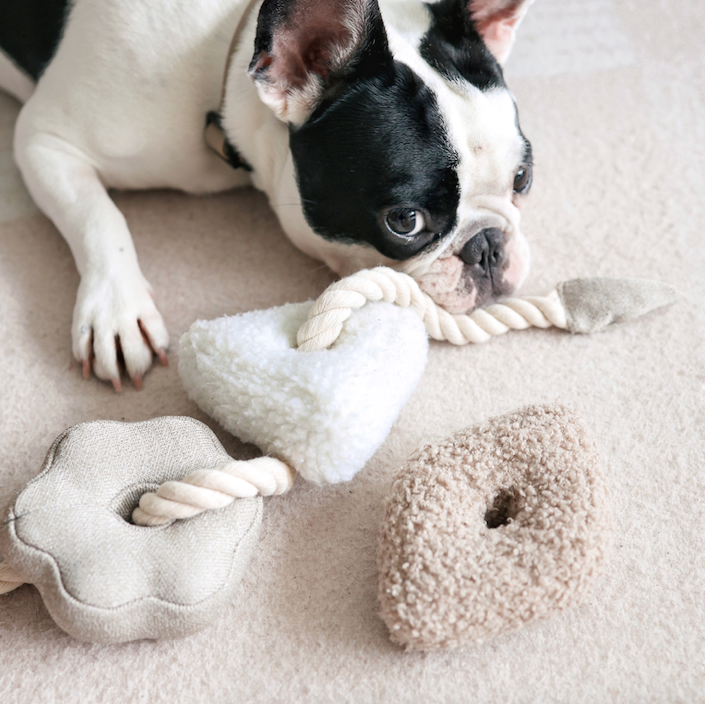 Lambwolf Collective - BLOCS//ENRICHMENT DOG TOY // NUDE: NUDE