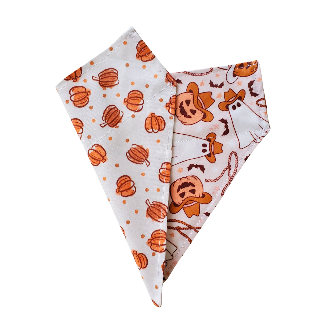 Charlie & the Hound - Cowboy Ghost - Reversible Dog Collar Bandana