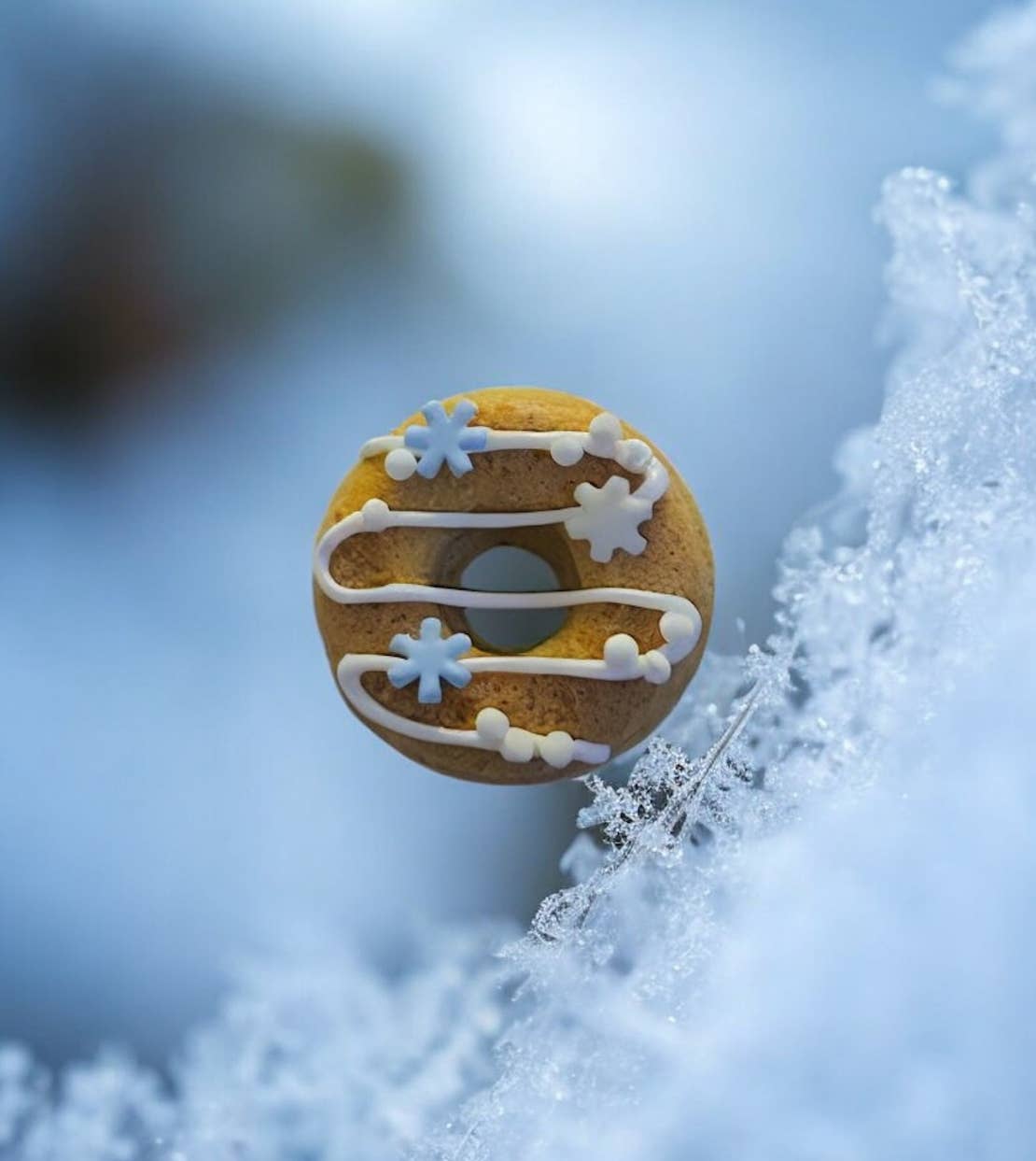 Moo’s Barkery - Winter Frozen Theme Donuts 
