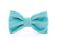 The Foggy Dog - Robin's Egg Velvet Dog Bow Tie