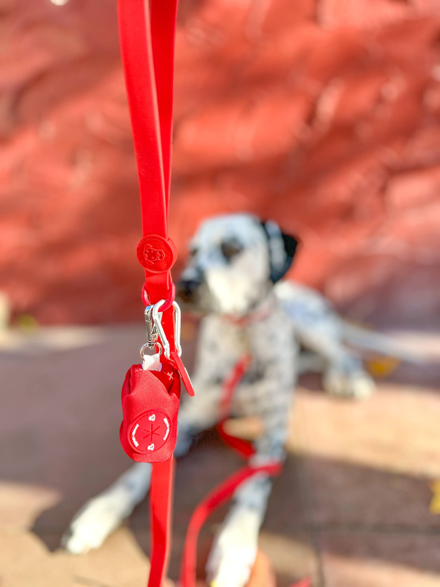 Spot N Knot - Dog Walk Bundle | Leash, Collar, Poop Loop, Waste Bag Holder